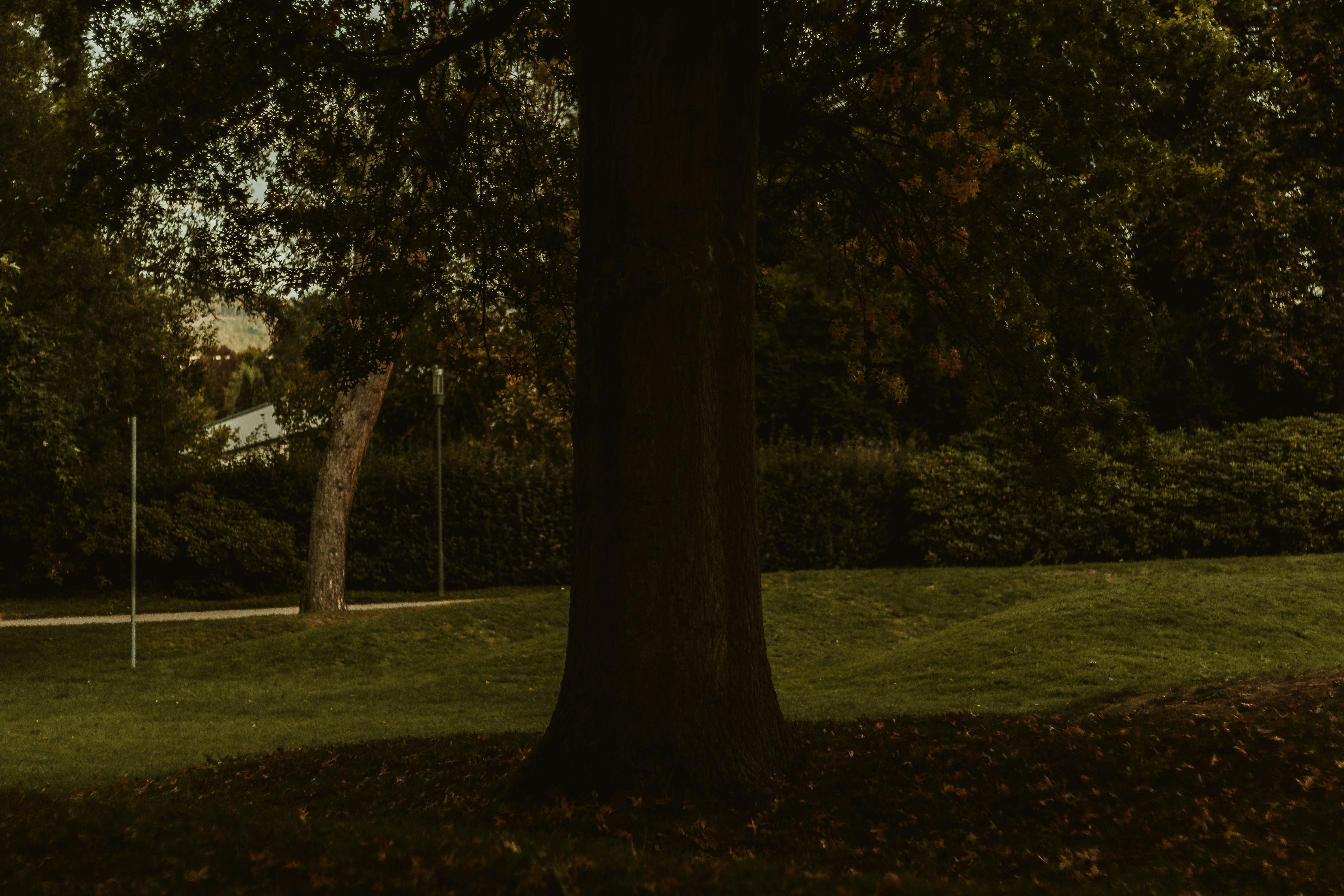 Photo by arlindphotography