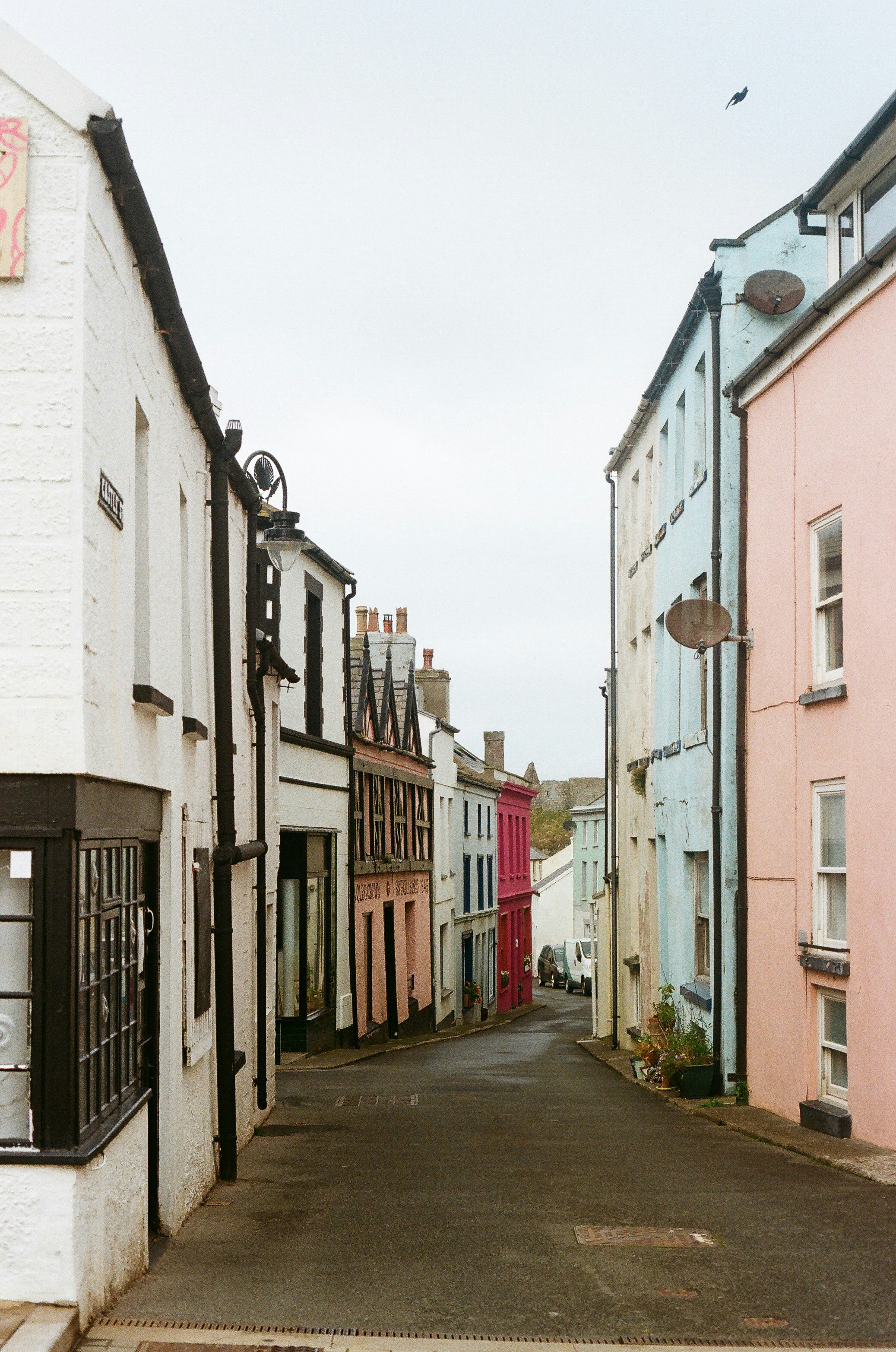 Photo by tanyabarrow