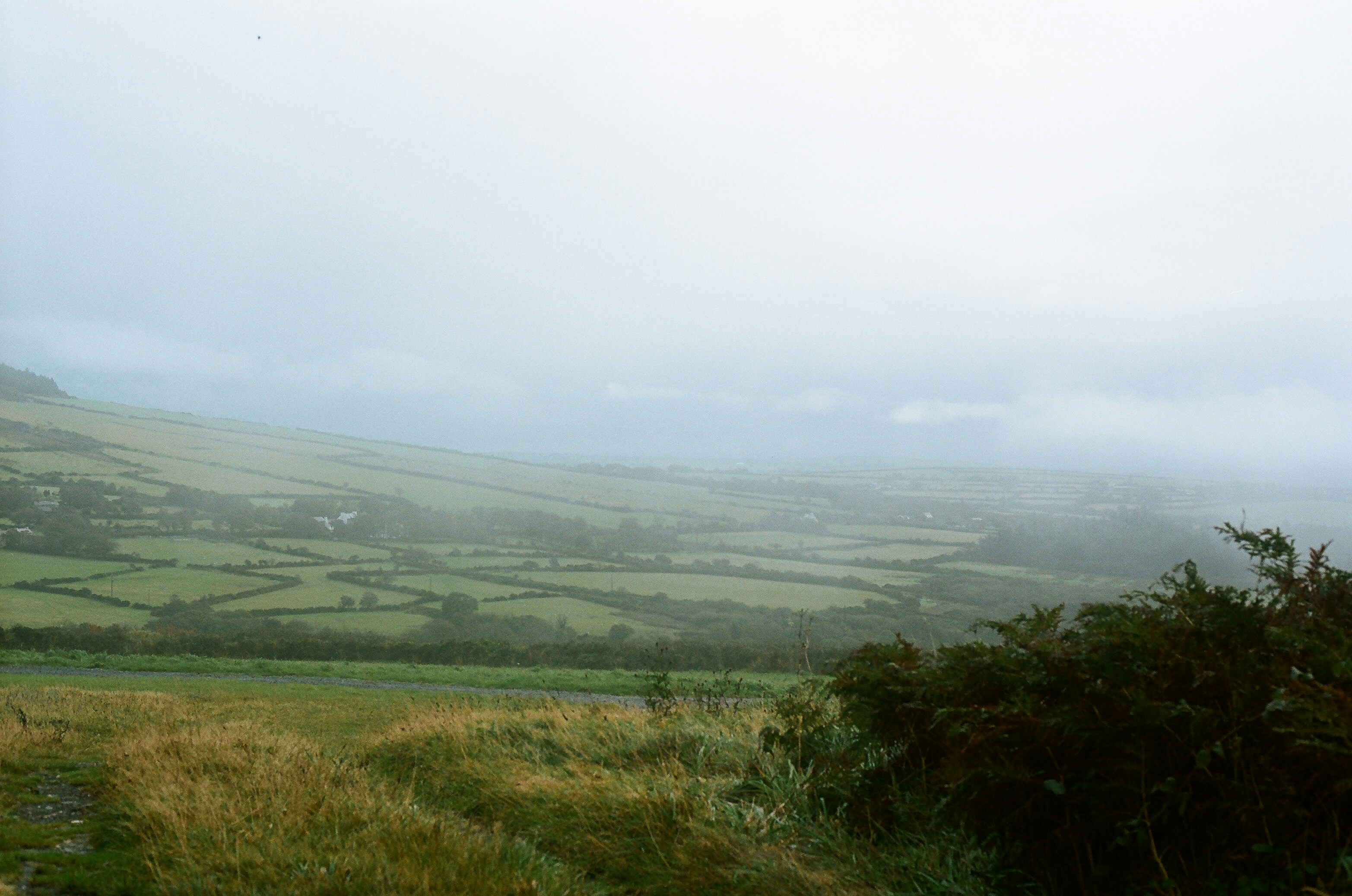 Photo by tanyabarrow