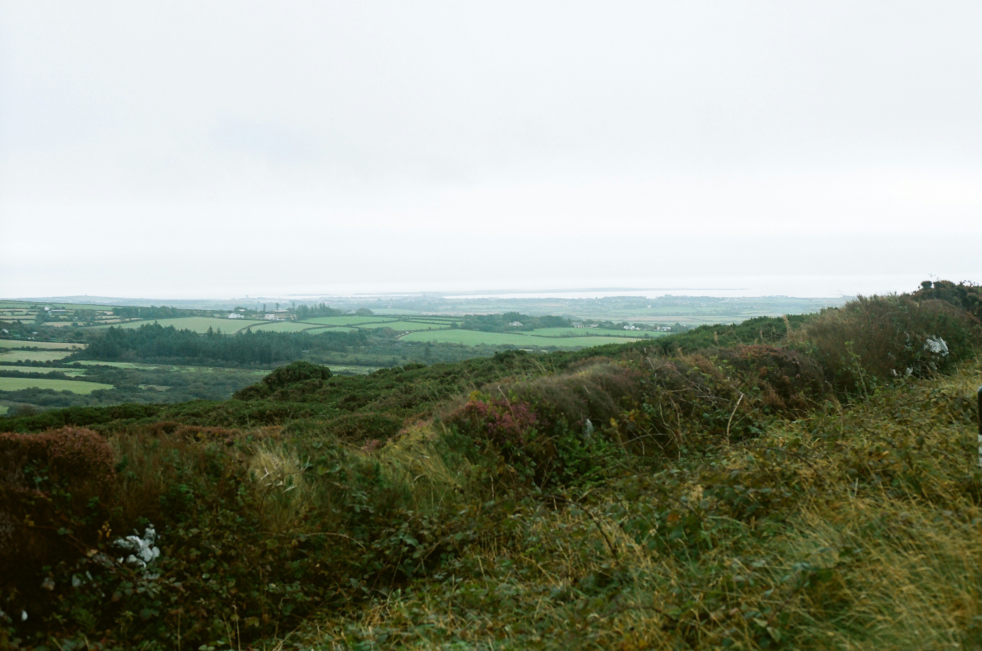 Photo by tanyabarrow