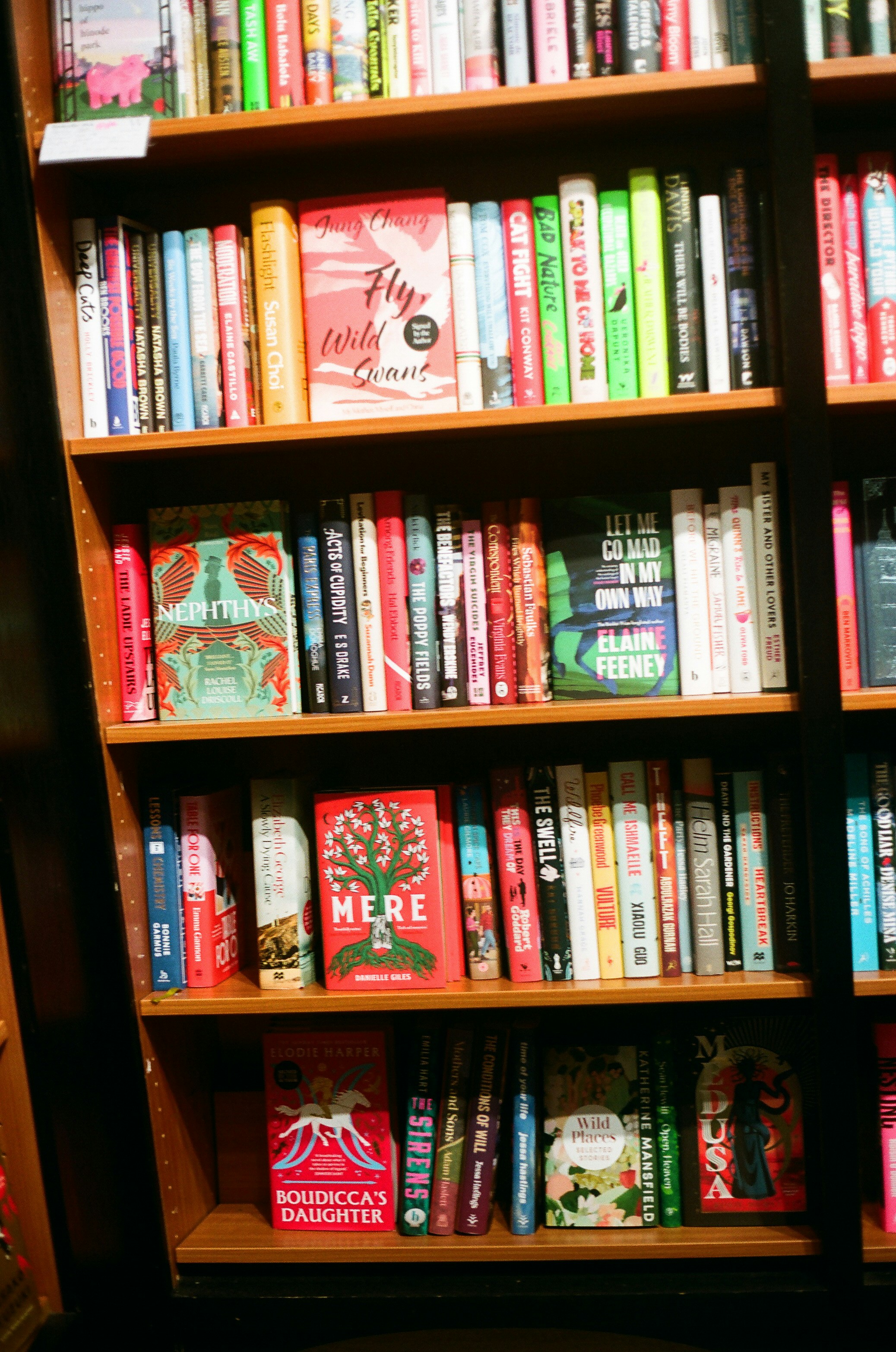 서점에 진열된 다양한 책들