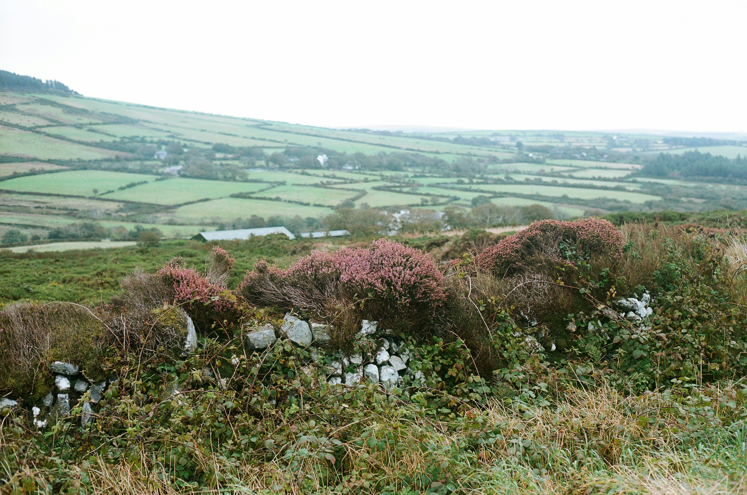 Photo by tanyabarrow