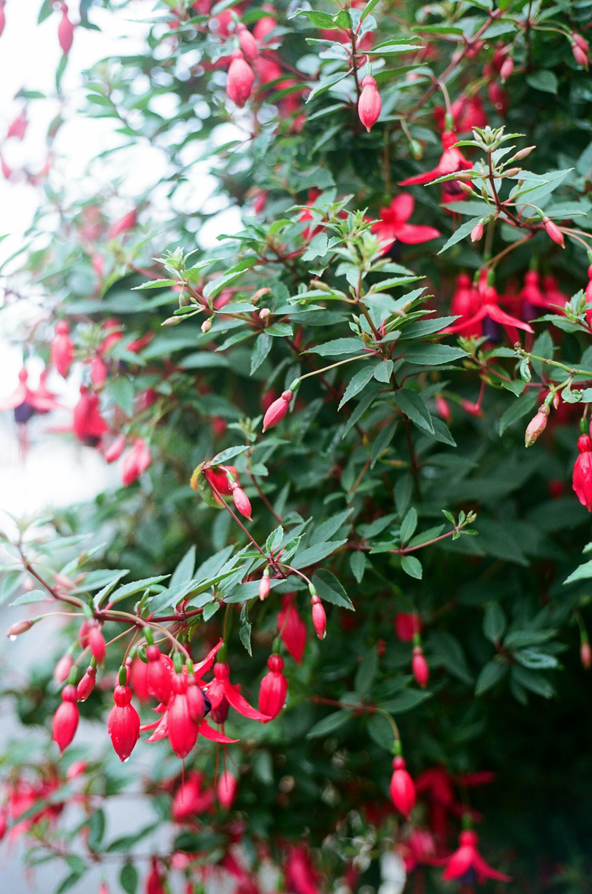 Photo by tanyabarrow