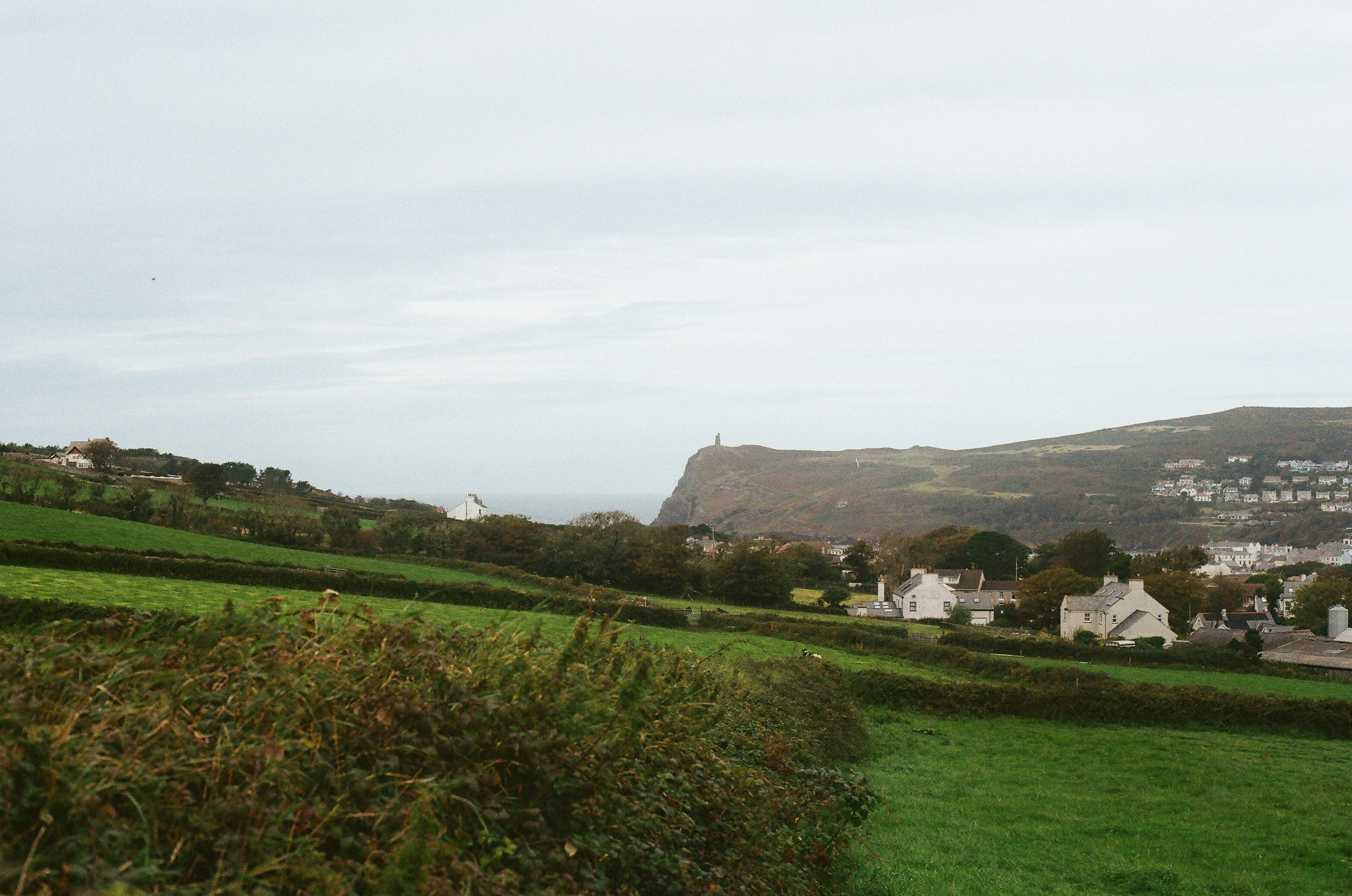 Photo by tanyabarrow