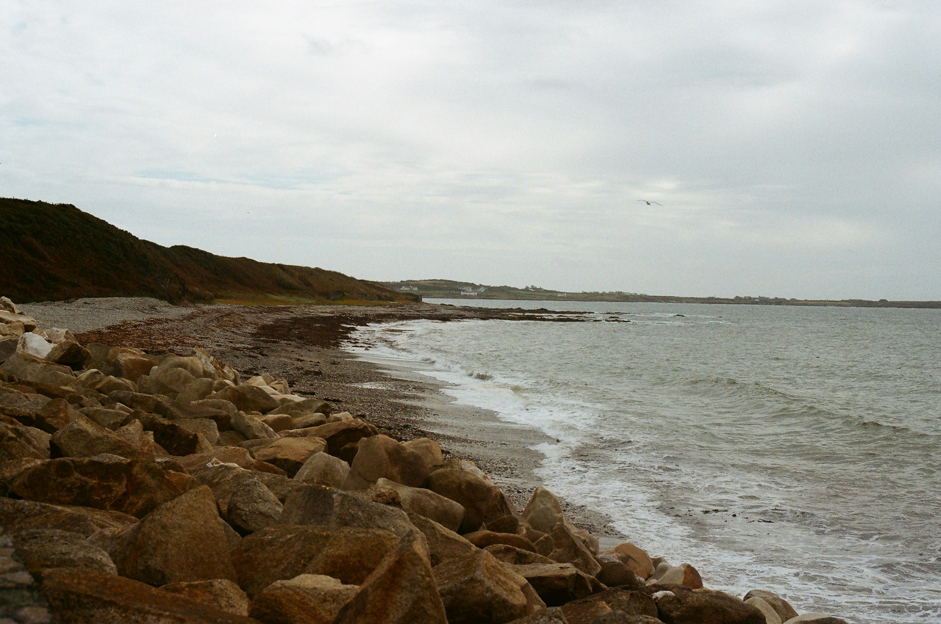 Photo by tanyabarrow