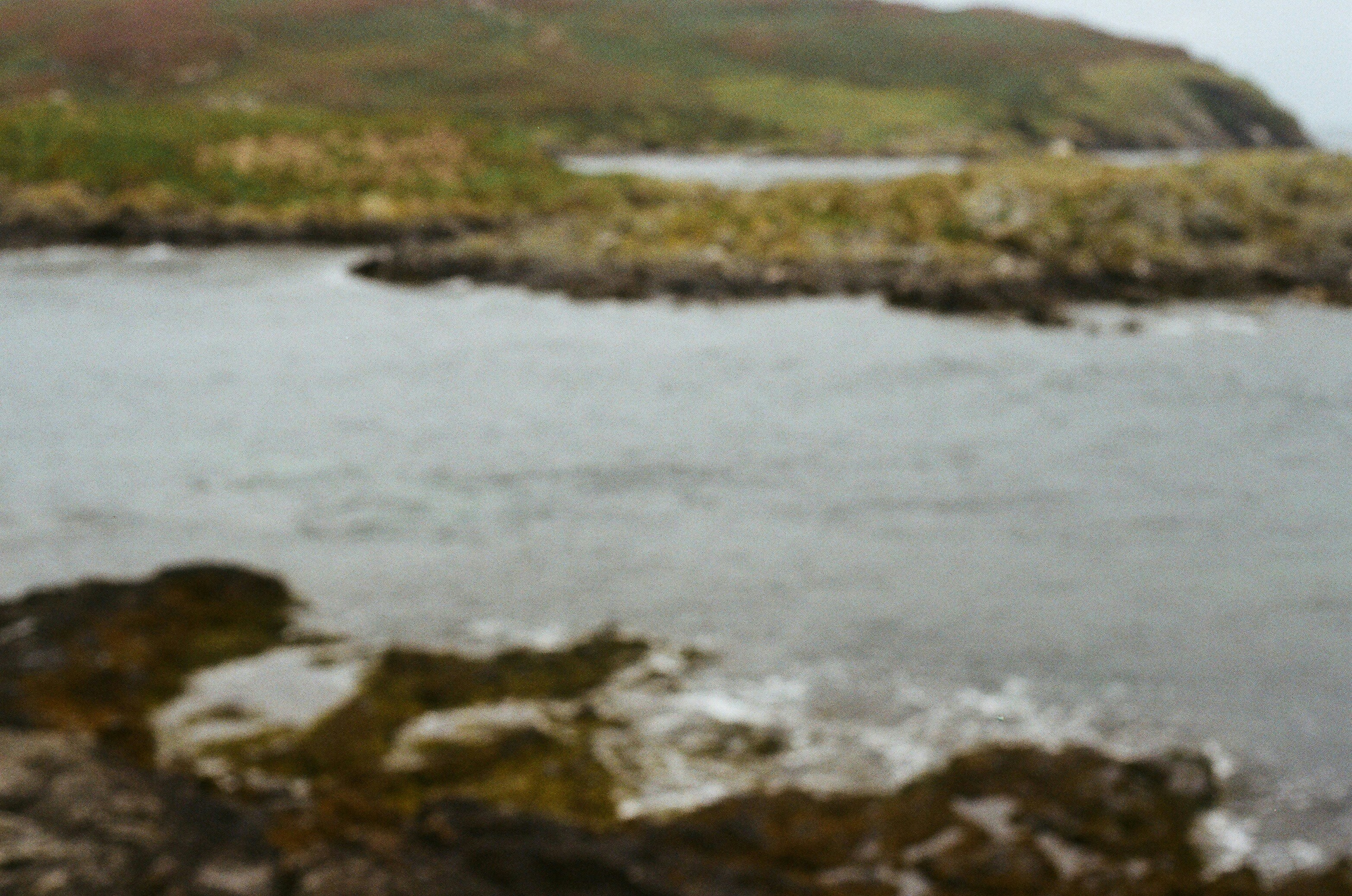 Photo by tanyabarrow