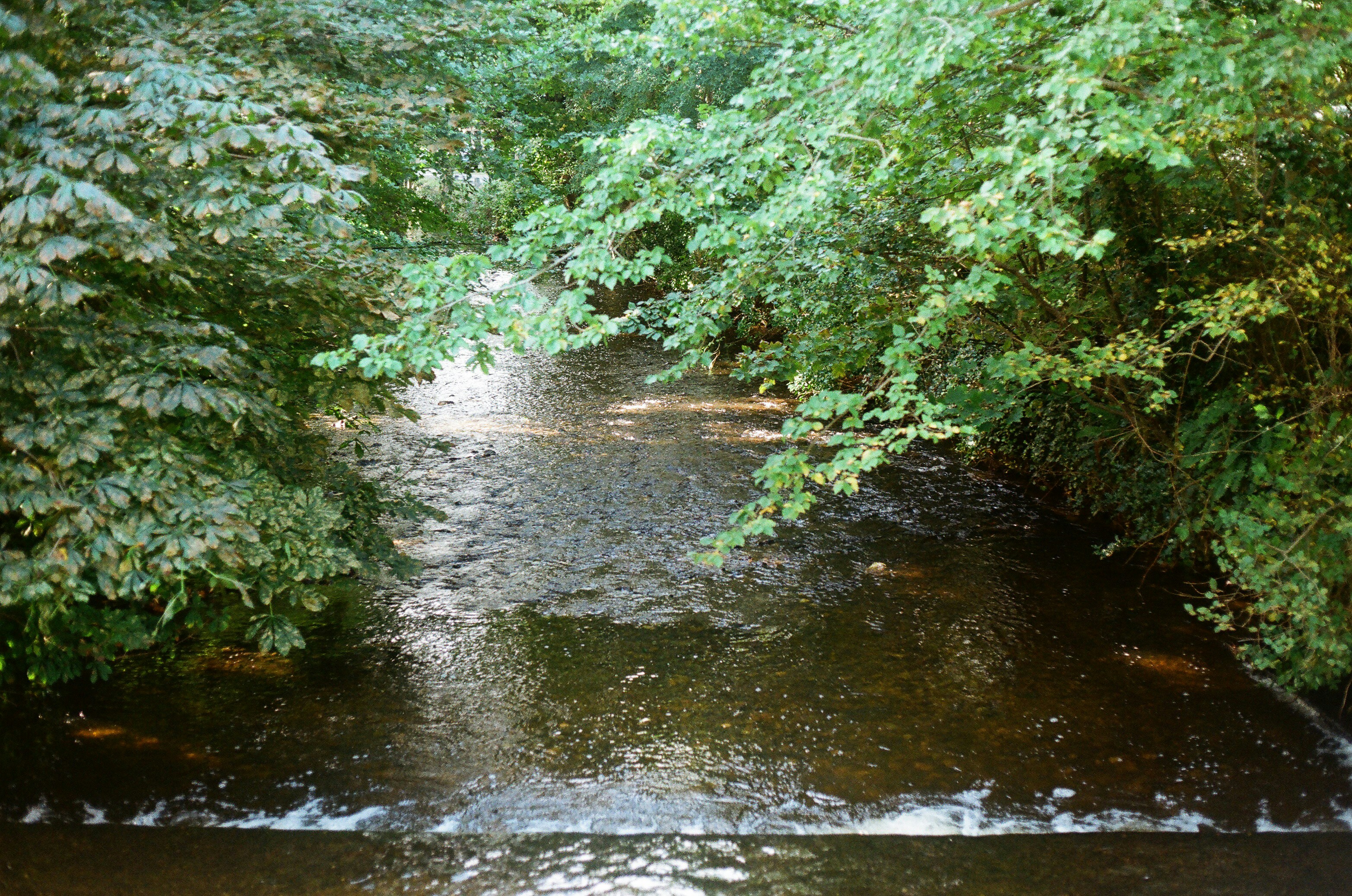 Photo by tanyabarrow