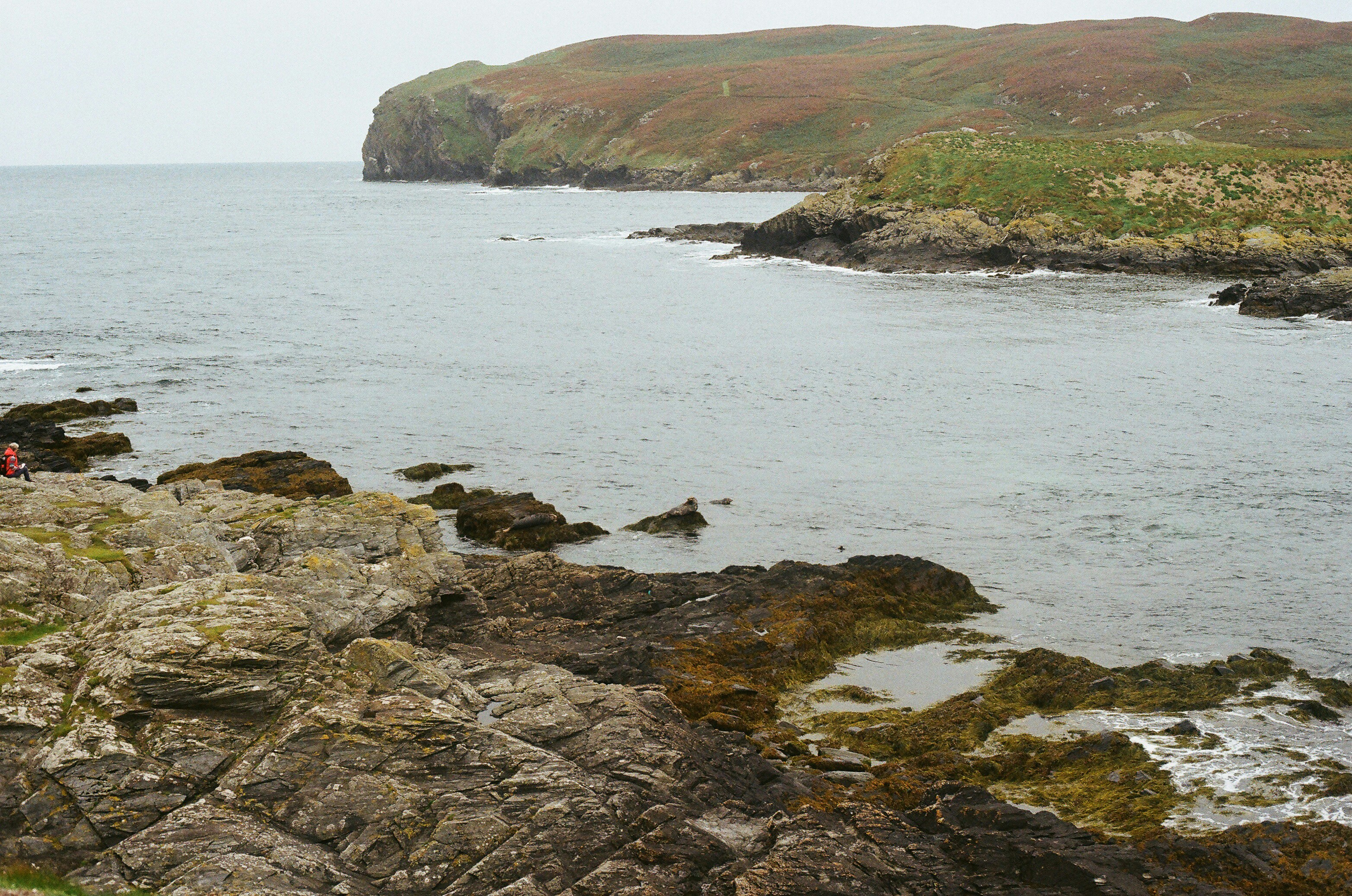 Photo by tanyabarrow