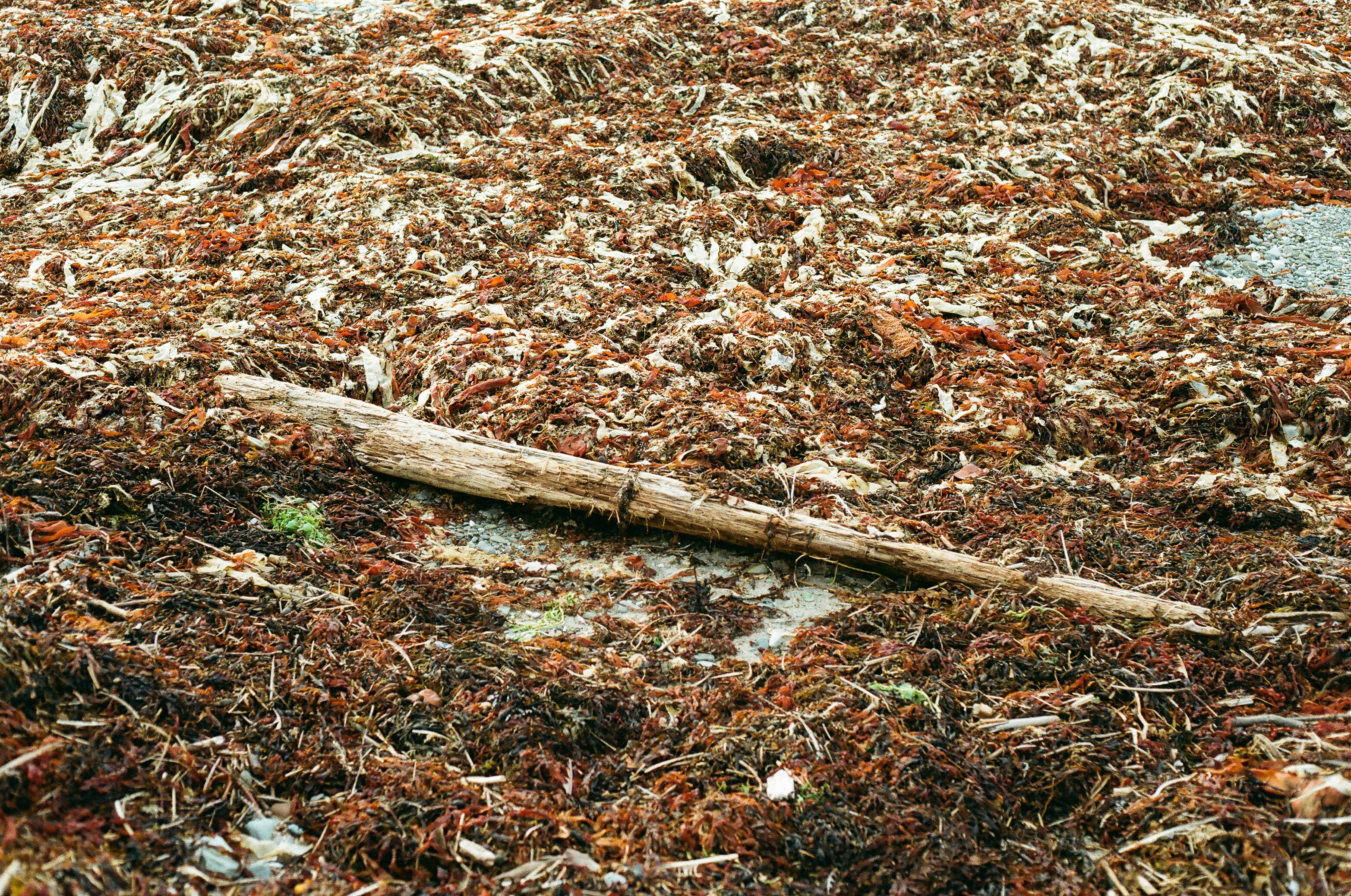 Photo by tanyabarrow