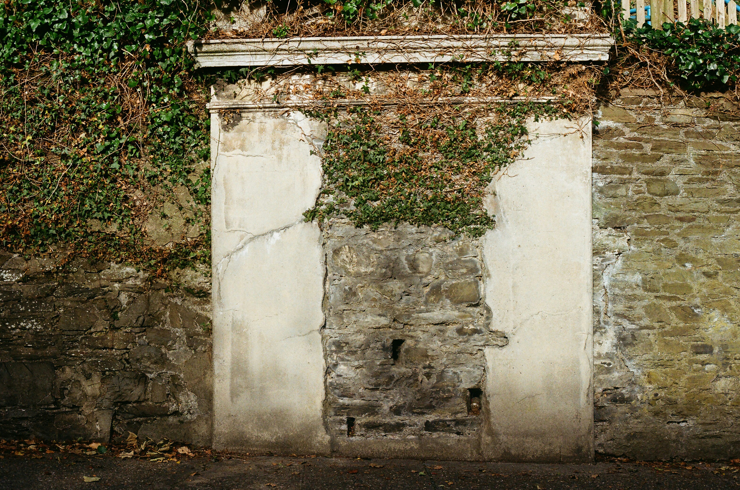 Photo by tanyabarrow