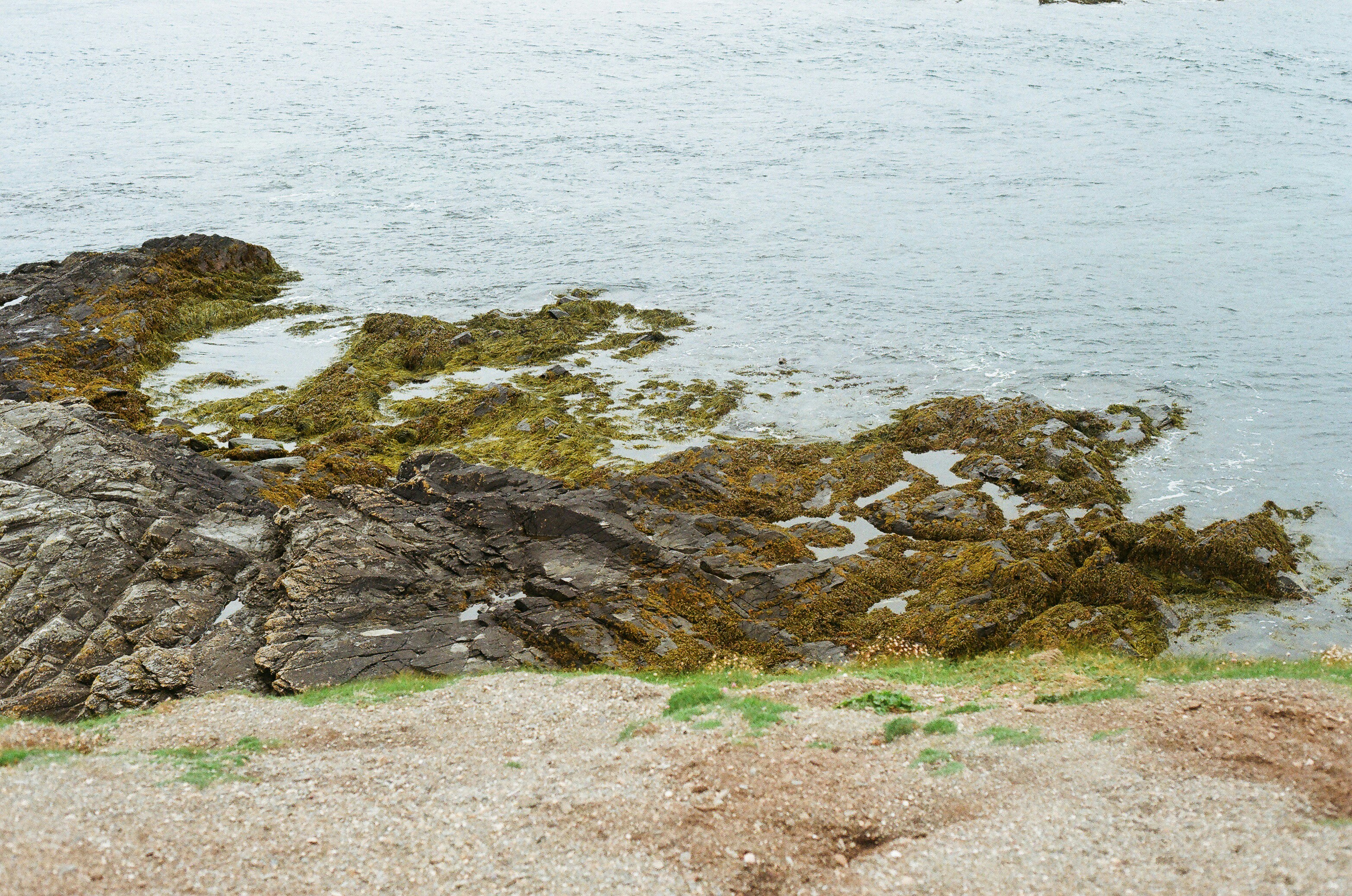 Photo by tanyabarrow