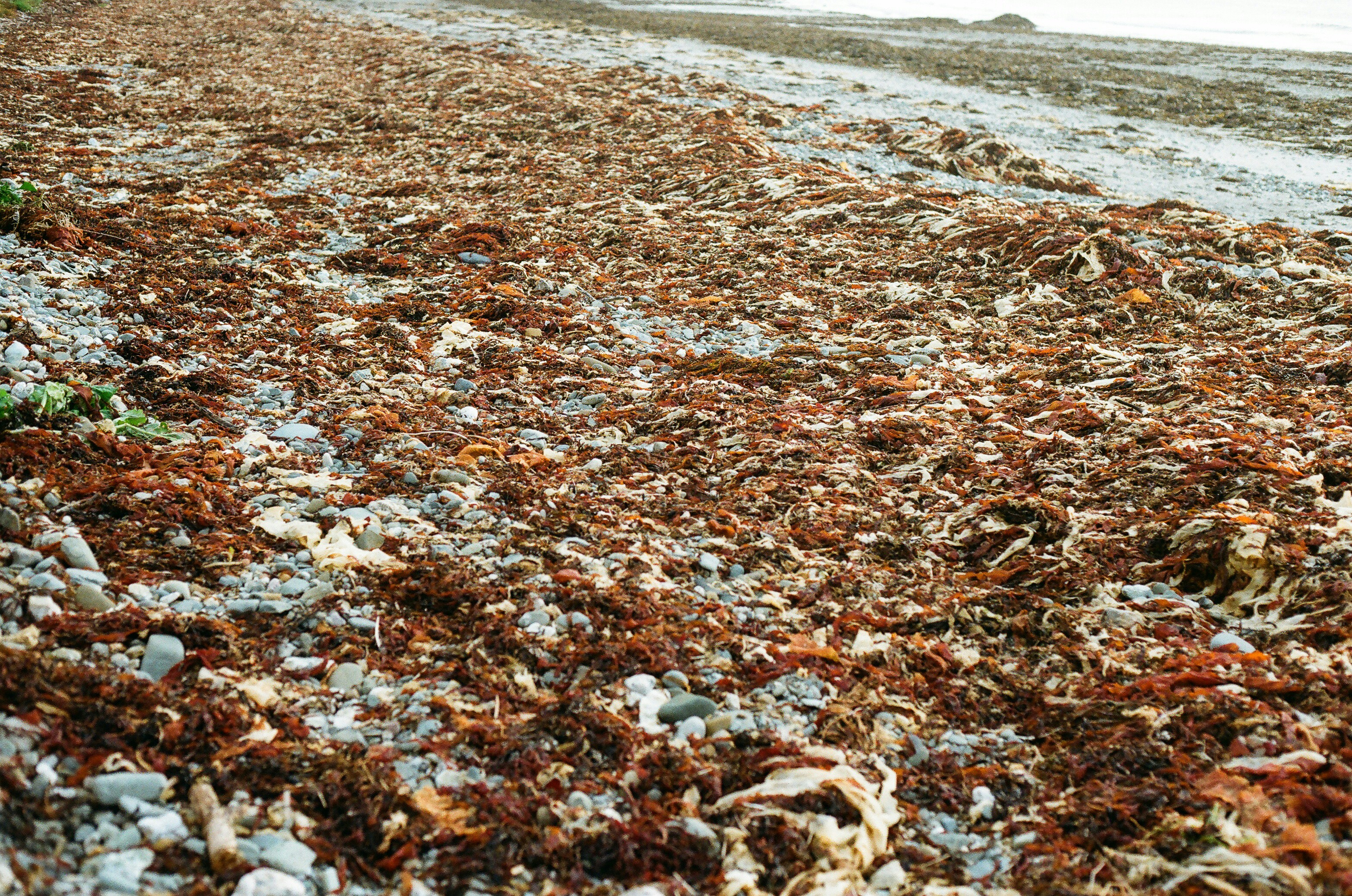 Photo by tanyabarrow