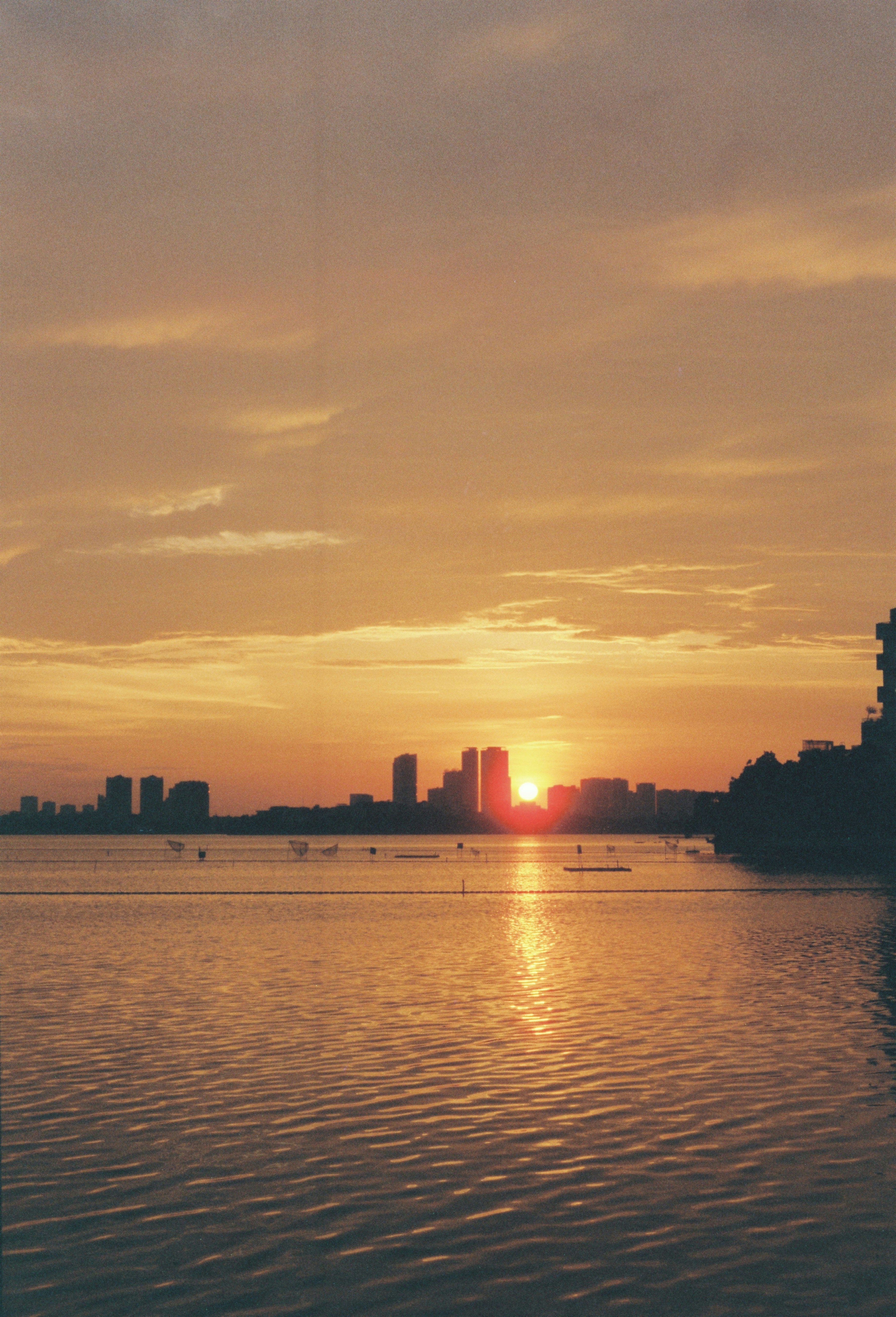 Photo by donguyenkhanhs