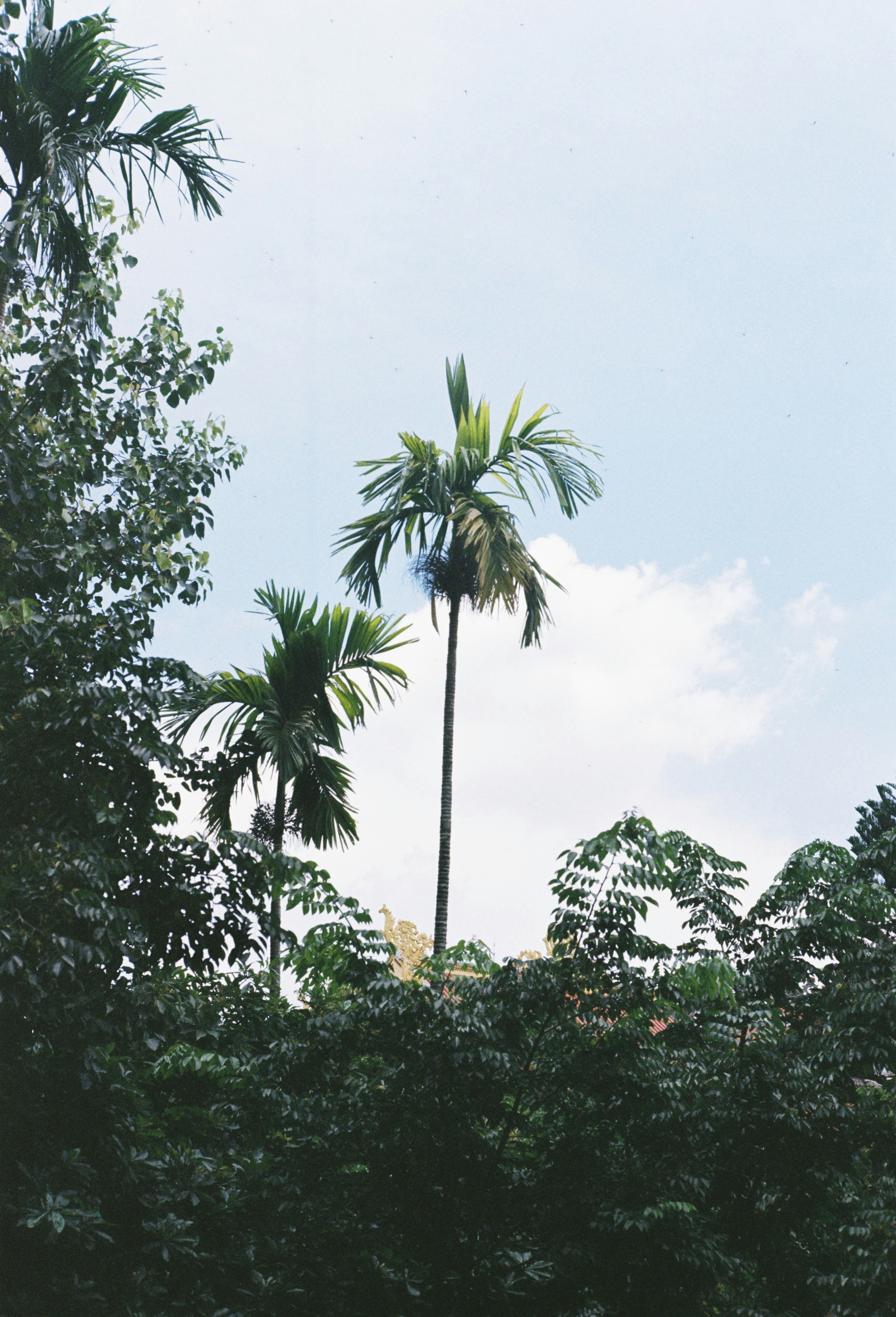 Photo by donguyenkhanhs