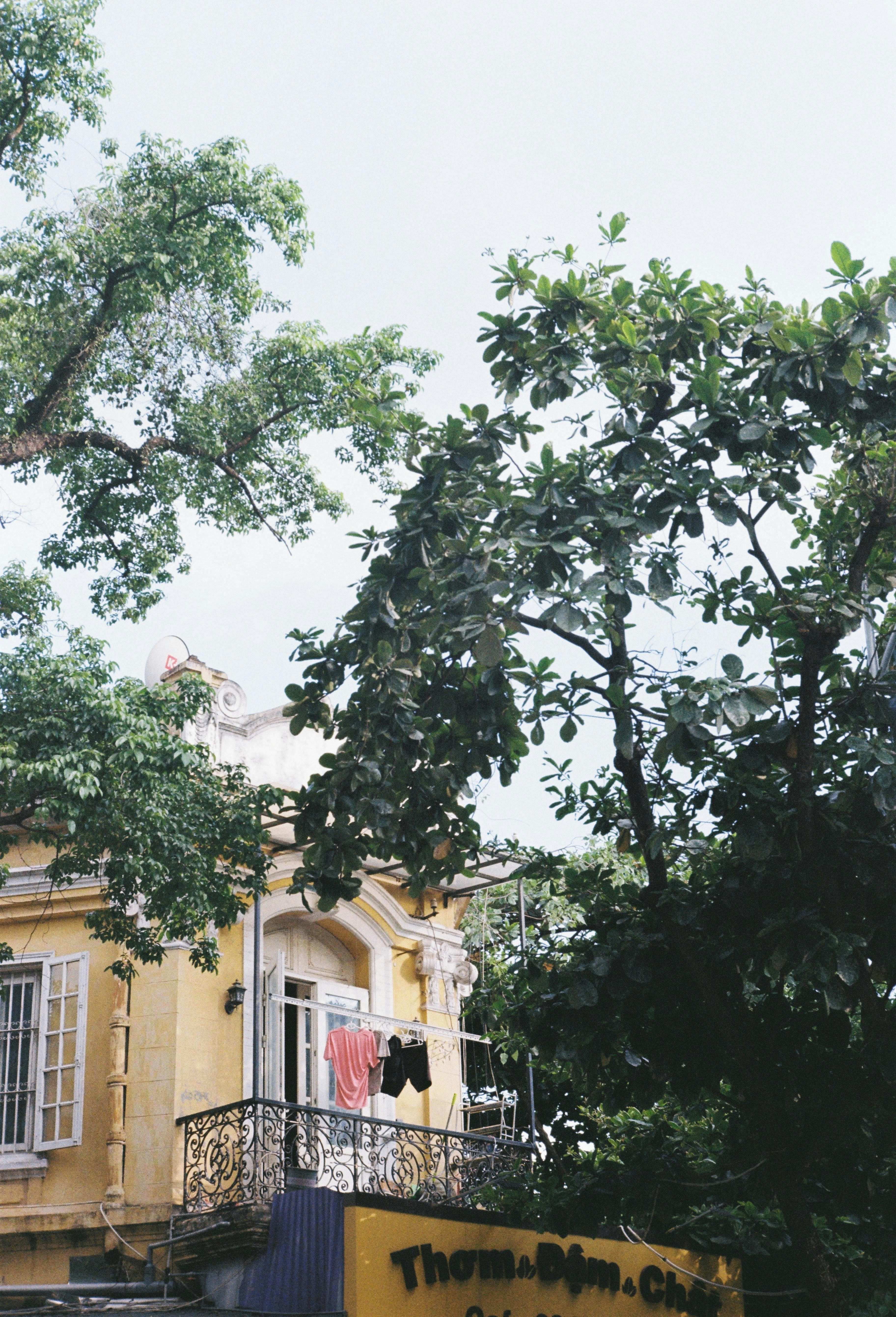 Photo by donguyenkhanhs