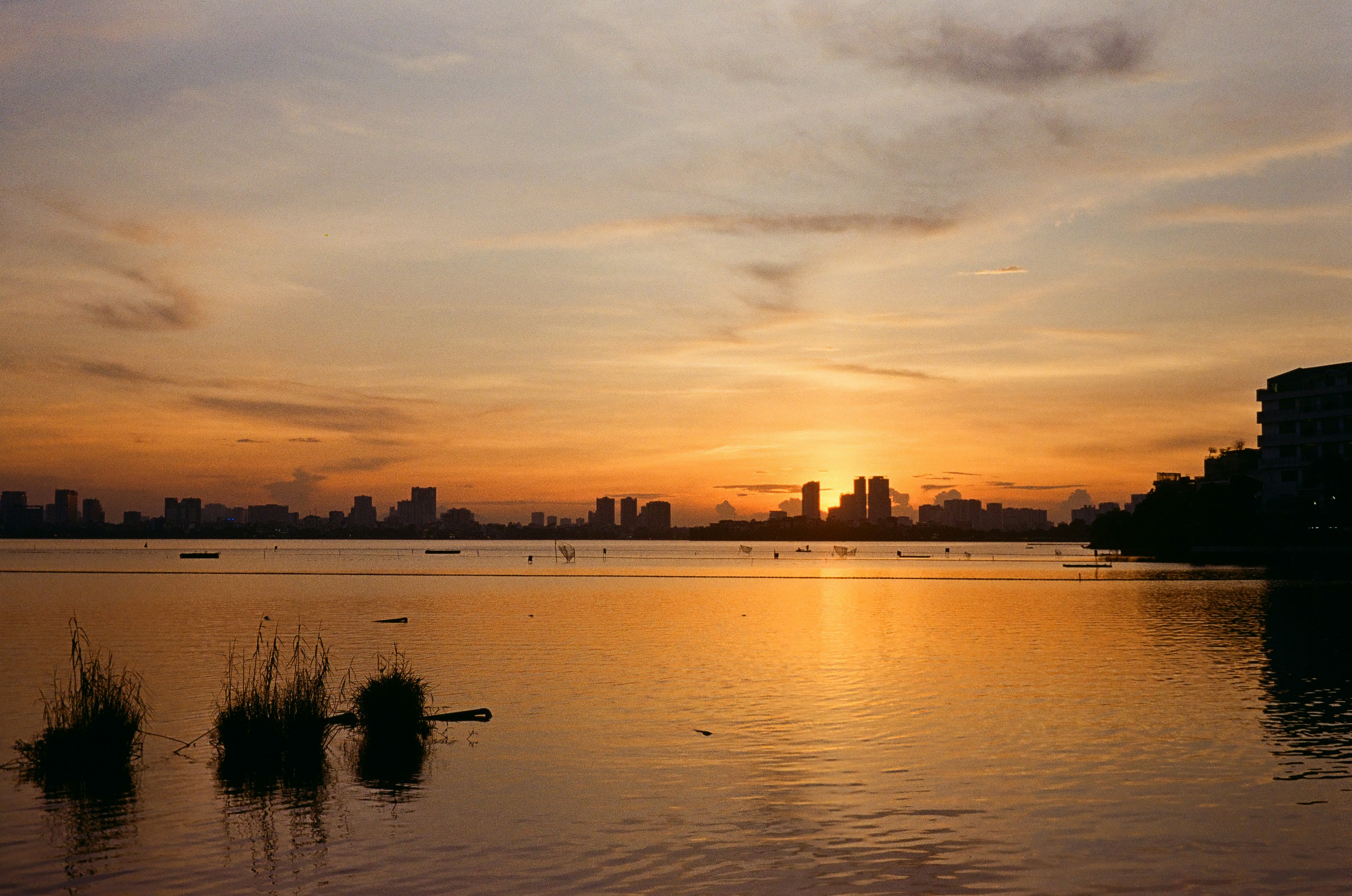 Photo by donguyenkhanhs