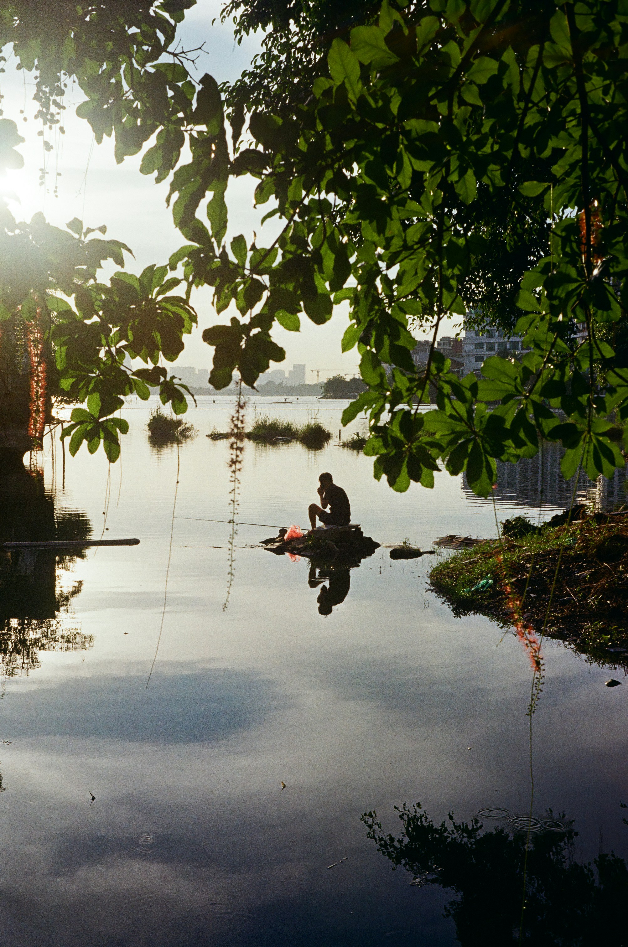 Photo by donguyenkhanhs