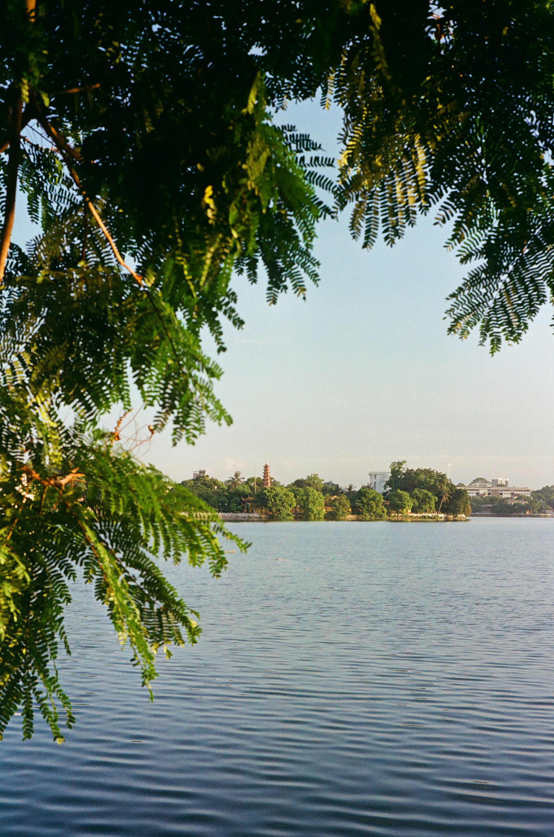 Photo by donguyenkhanhs