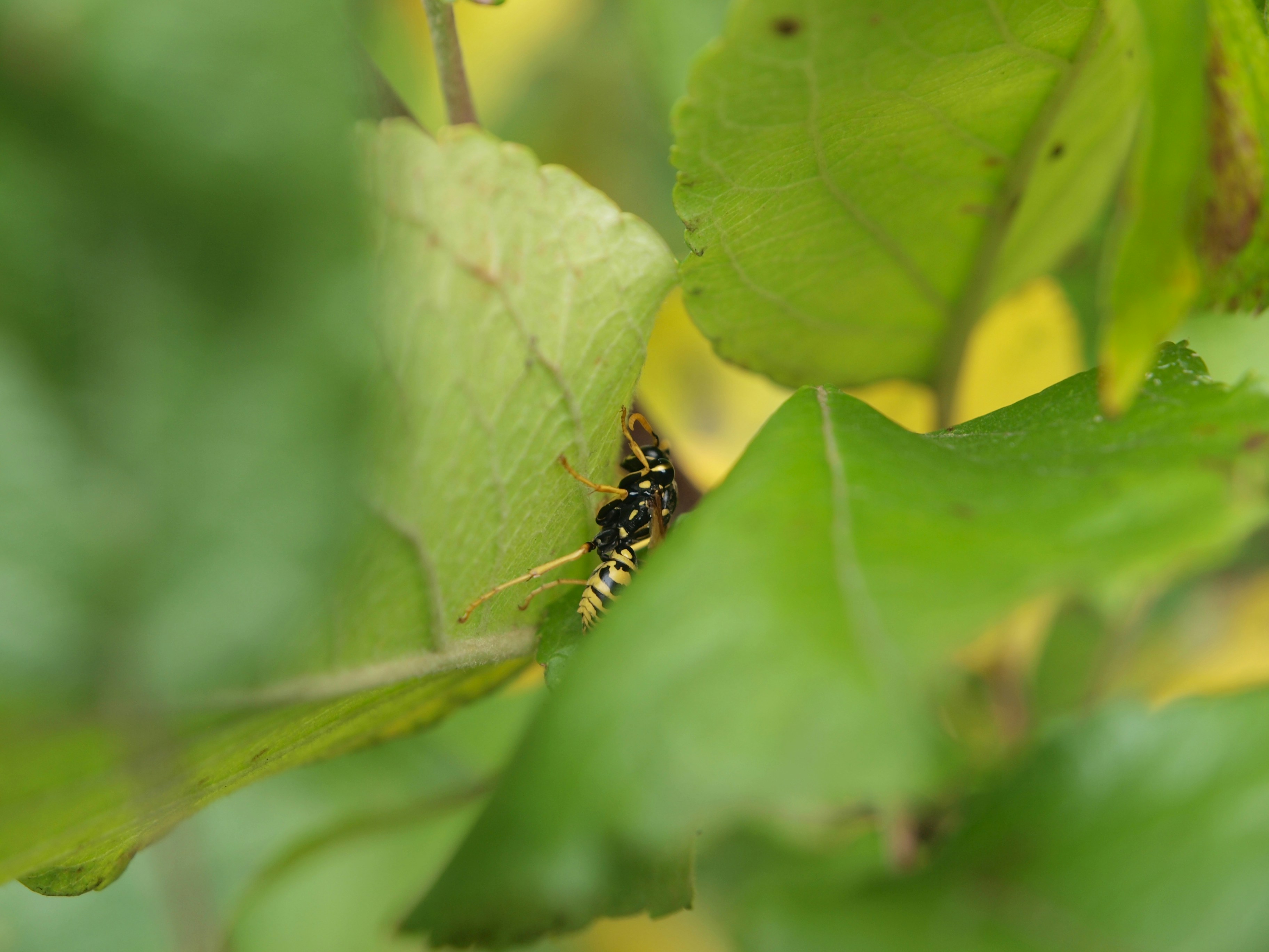 Photo by myworldisblue