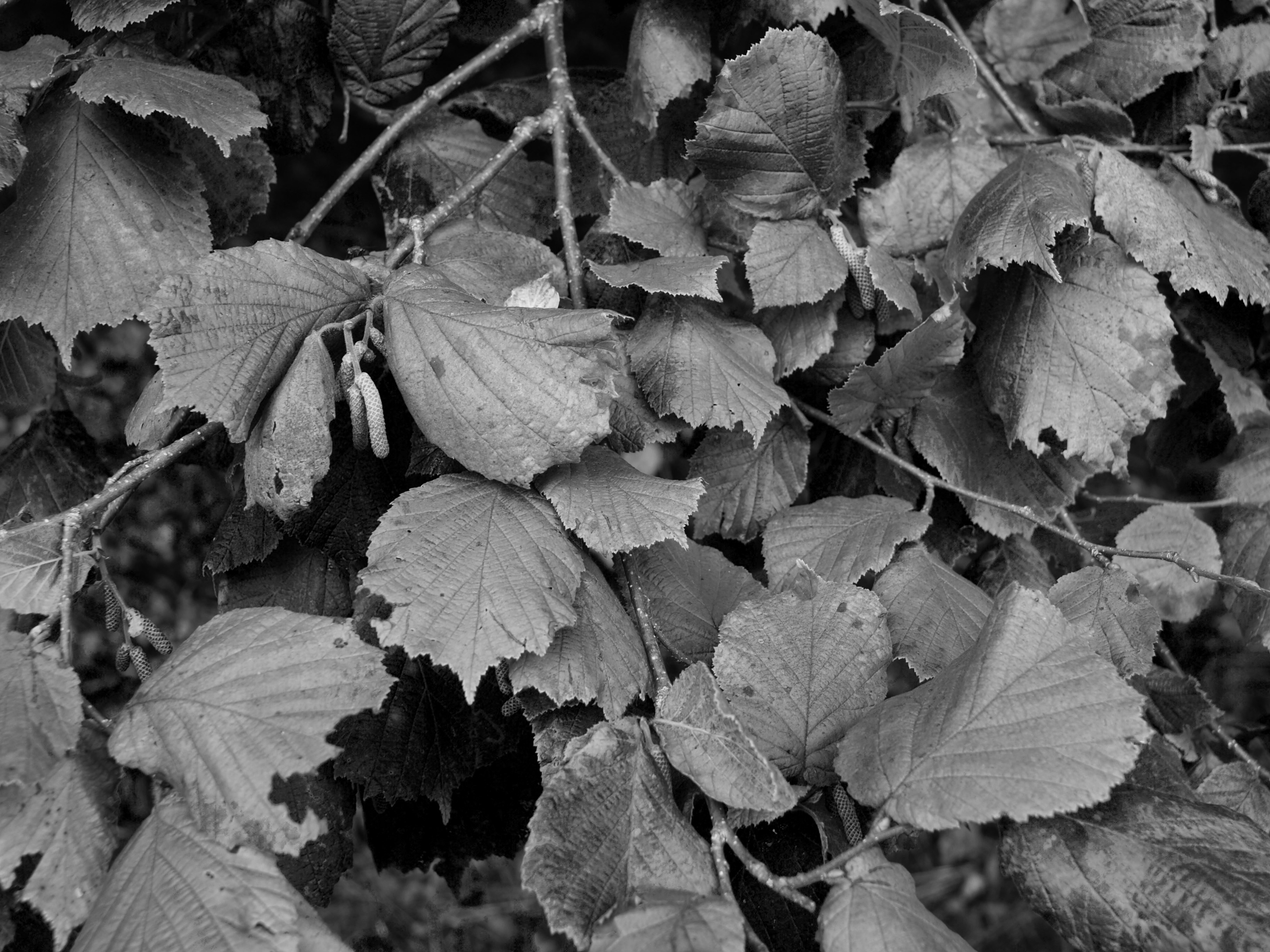 Photo by myworldisblue