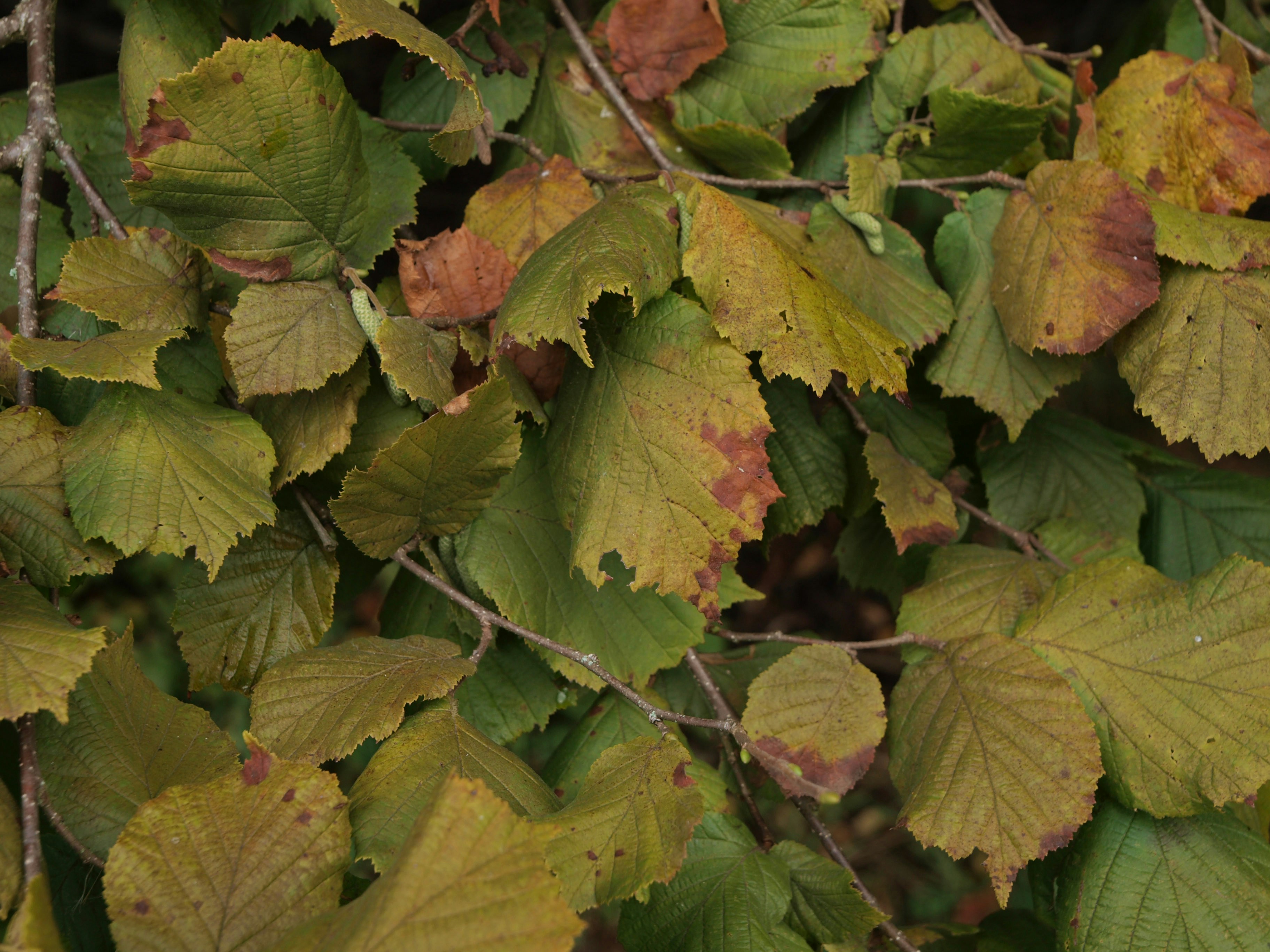 Photo by myworldisblue