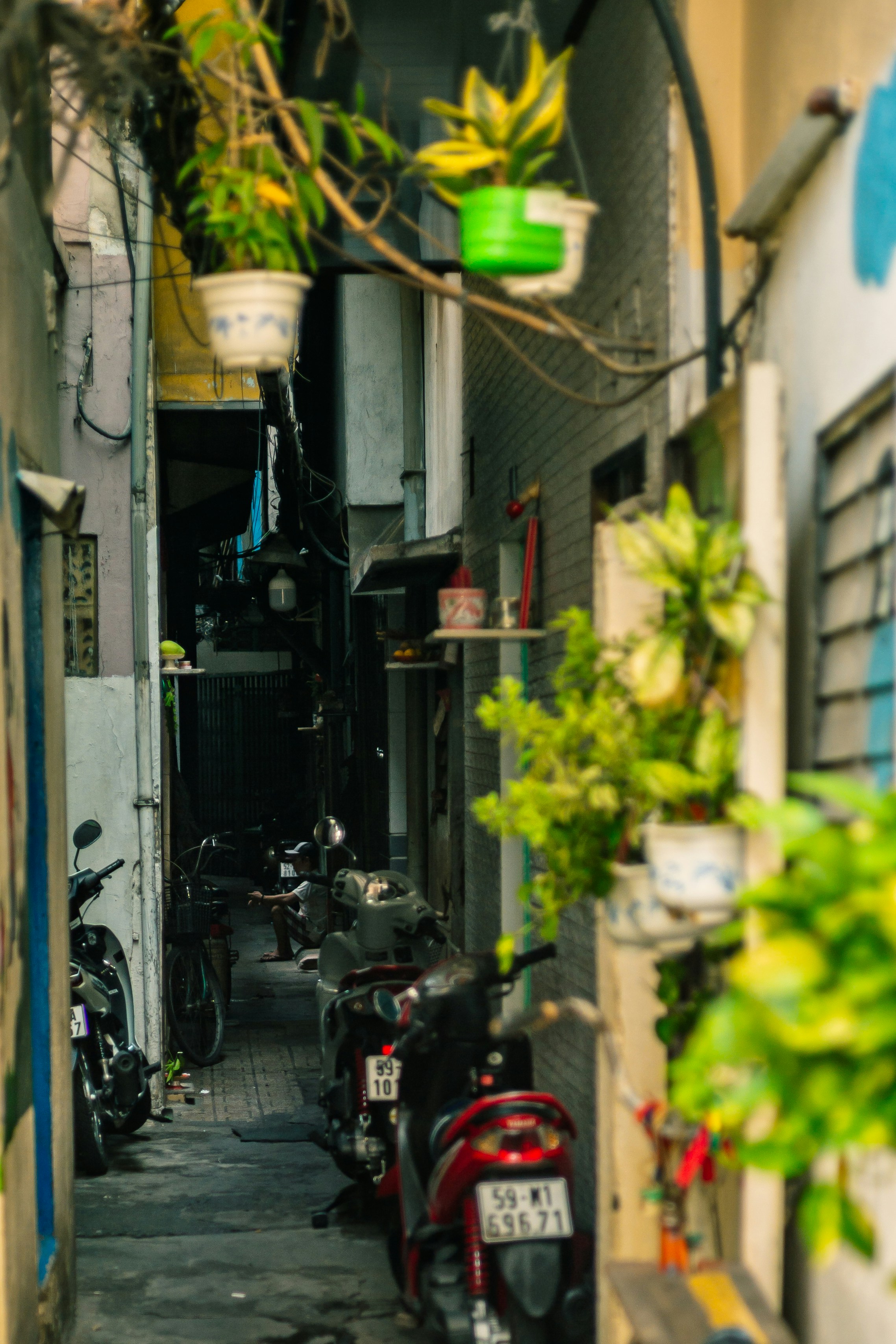 Photo by donguyenkhanhs