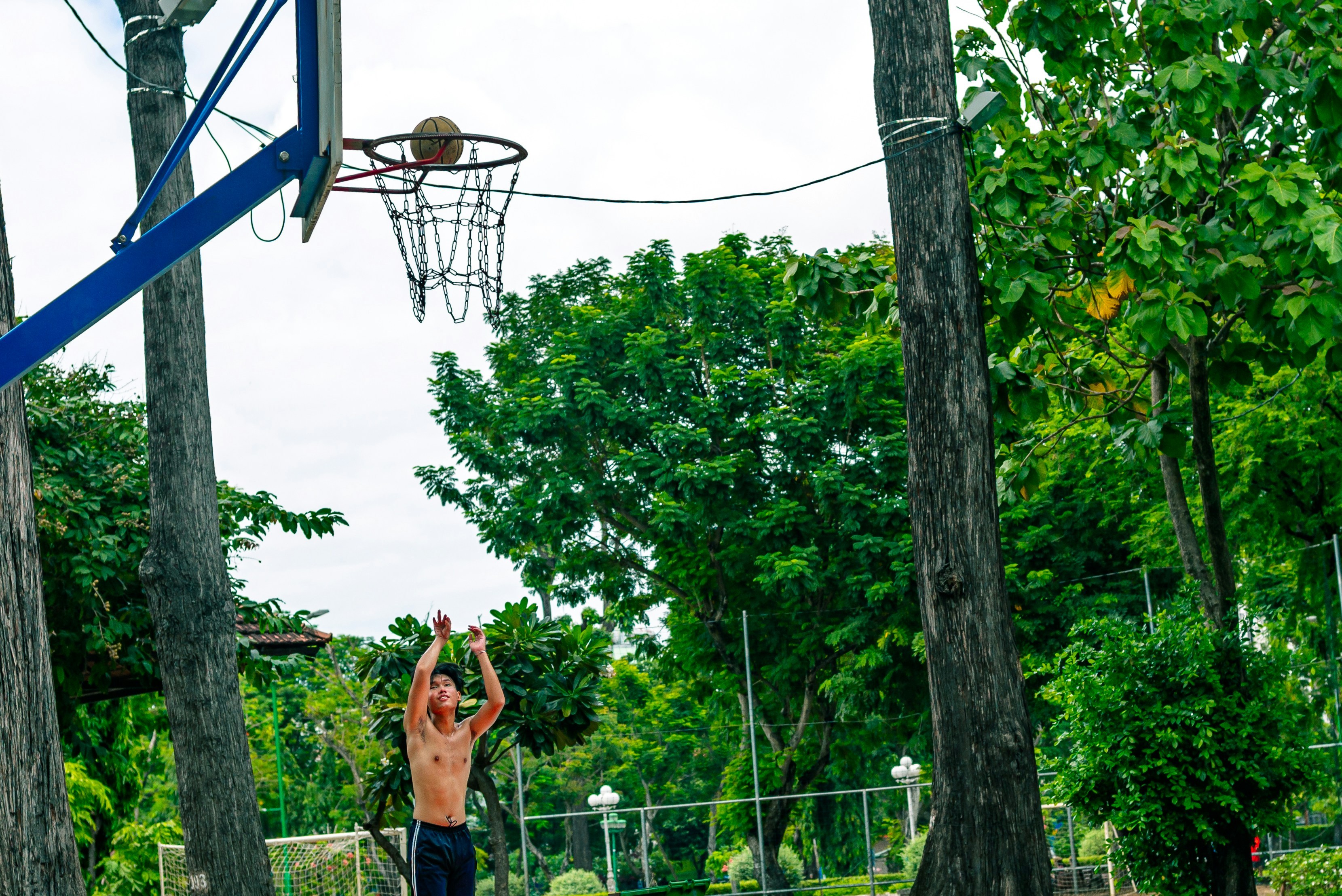 Table Tennis: The Unsung Hero of Home Recreation Deals