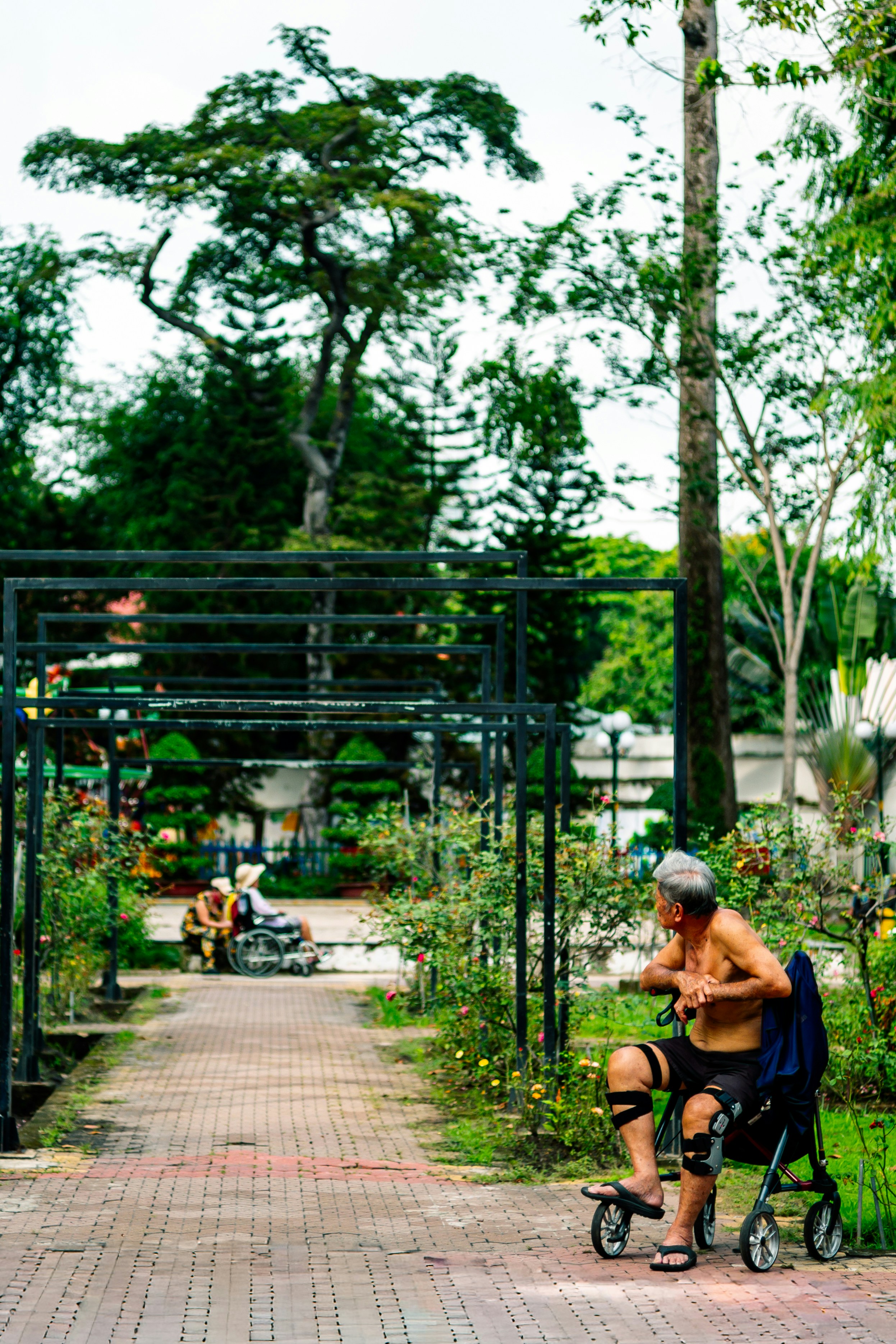 Photo by donguyenkhanhs