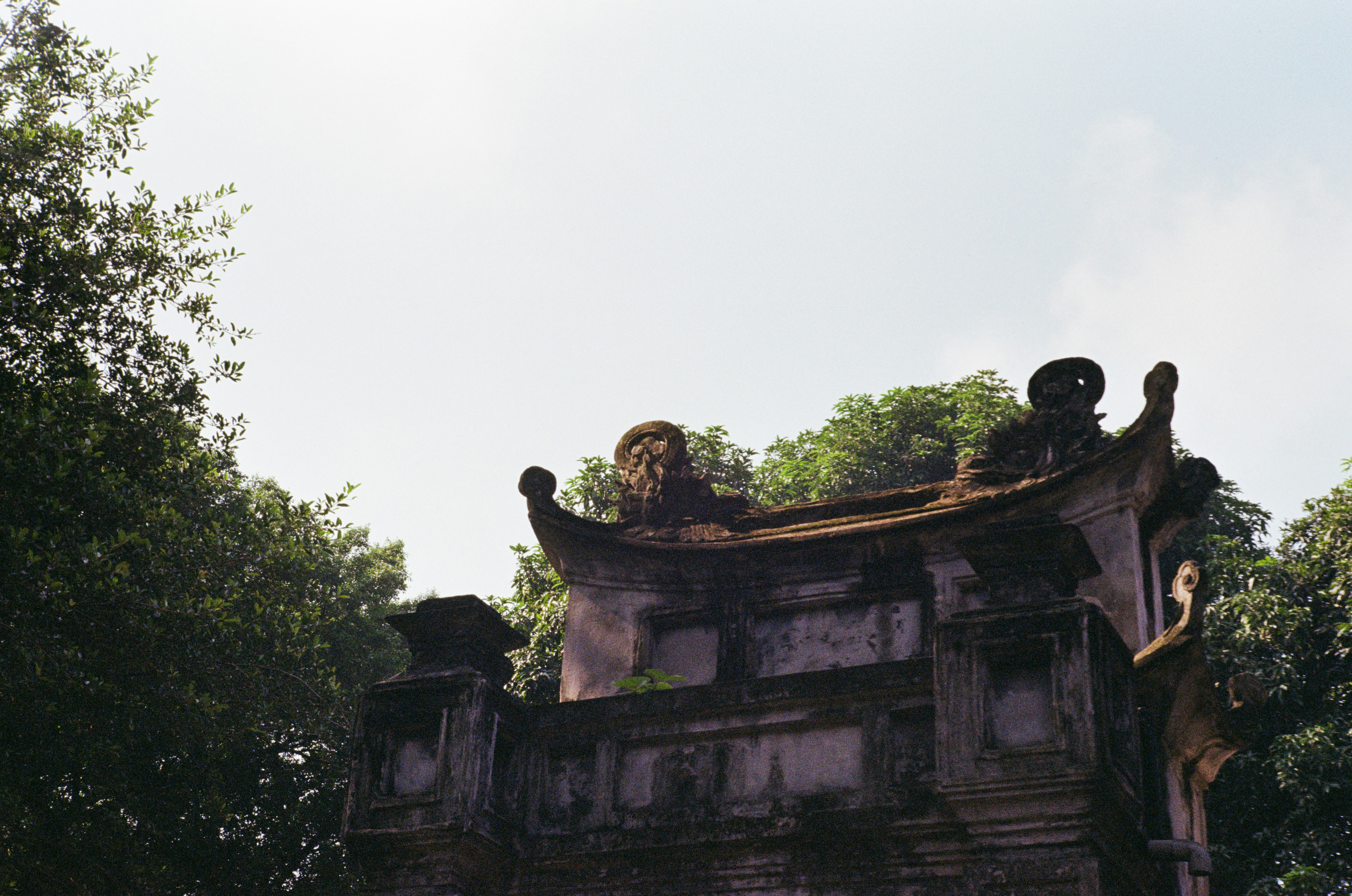 Photo by donguyenkhanhs