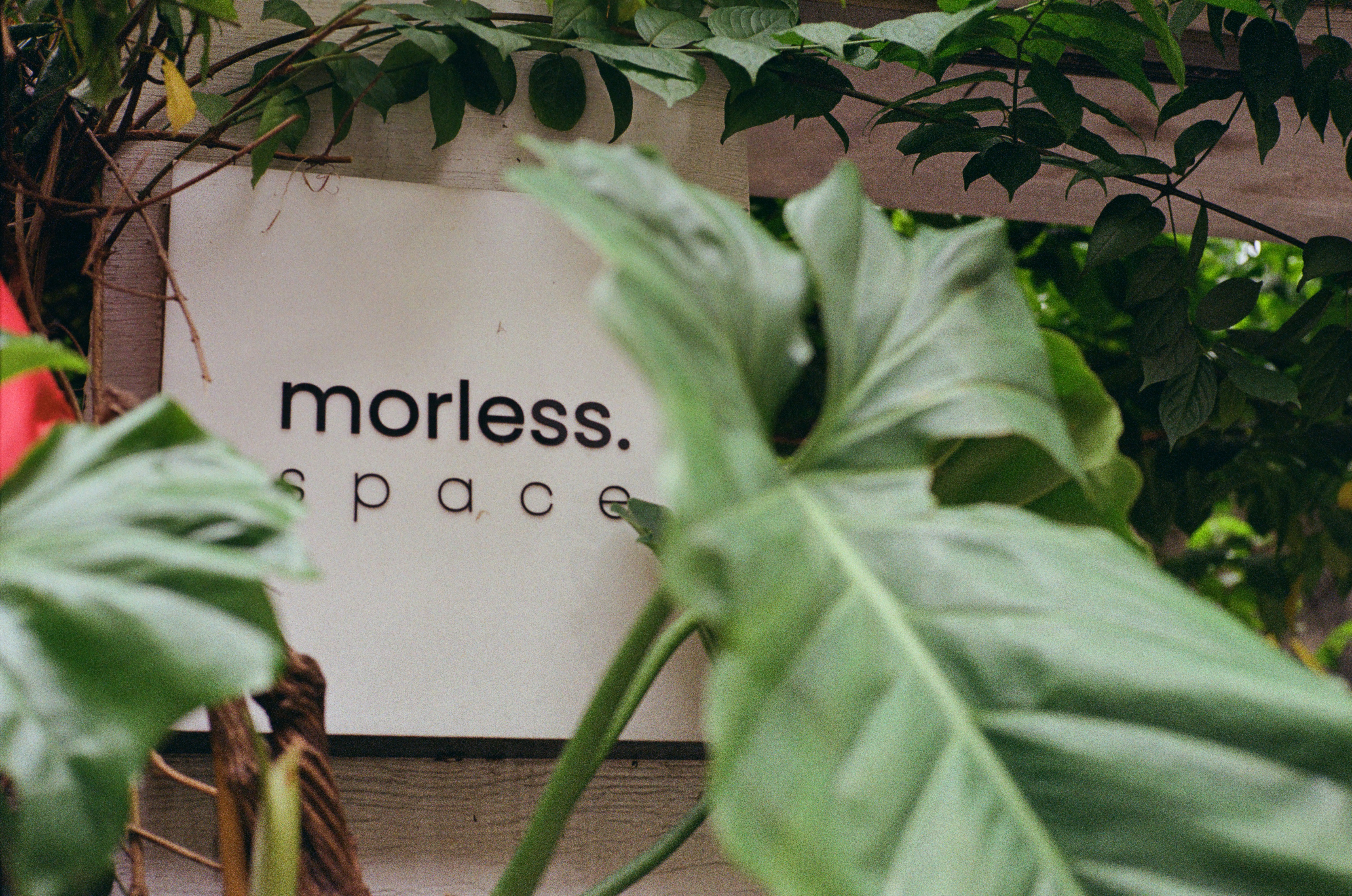 Signage for 'morless space' with lush greenery.