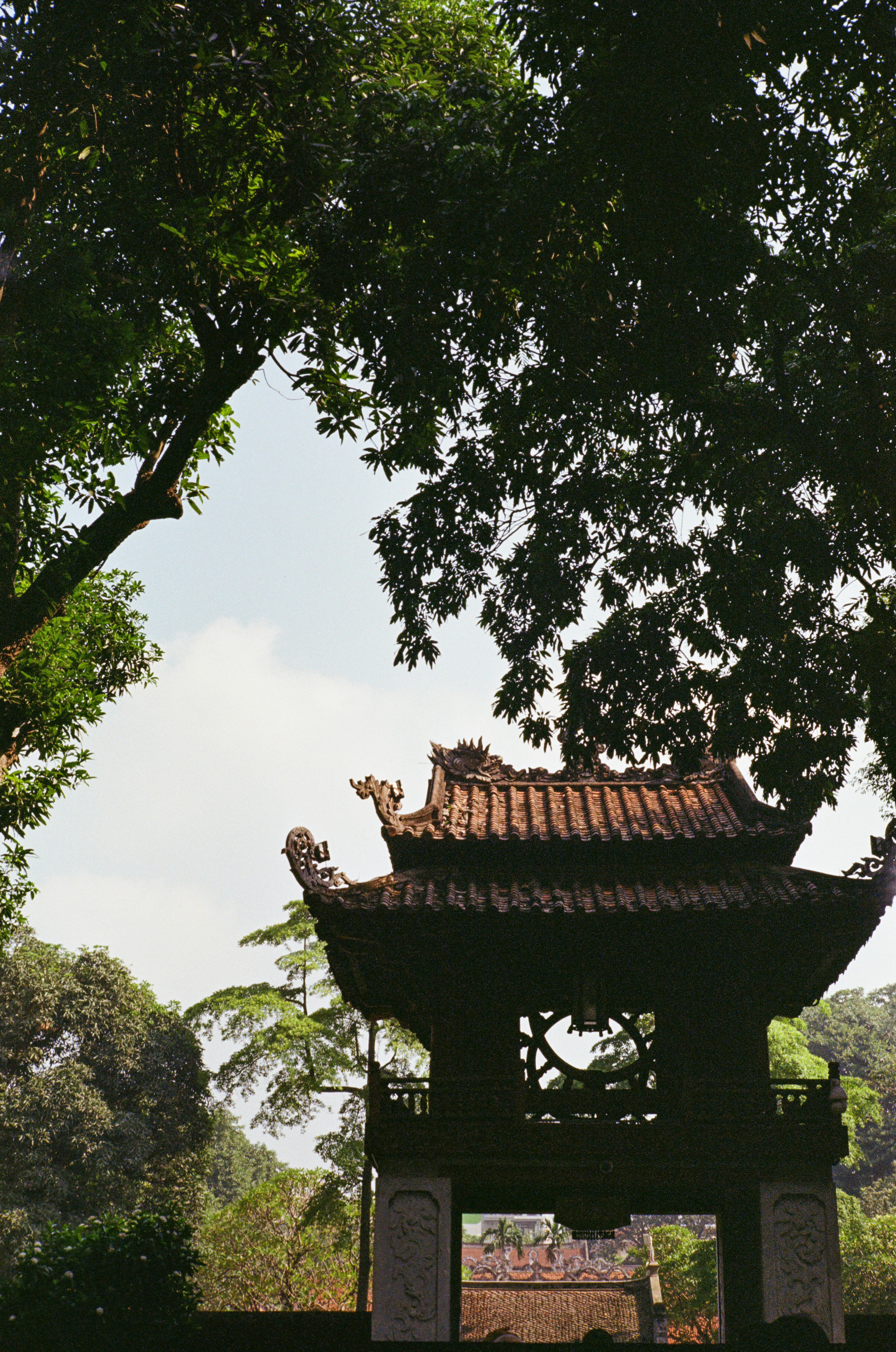 Photo by donguyenkhanhs