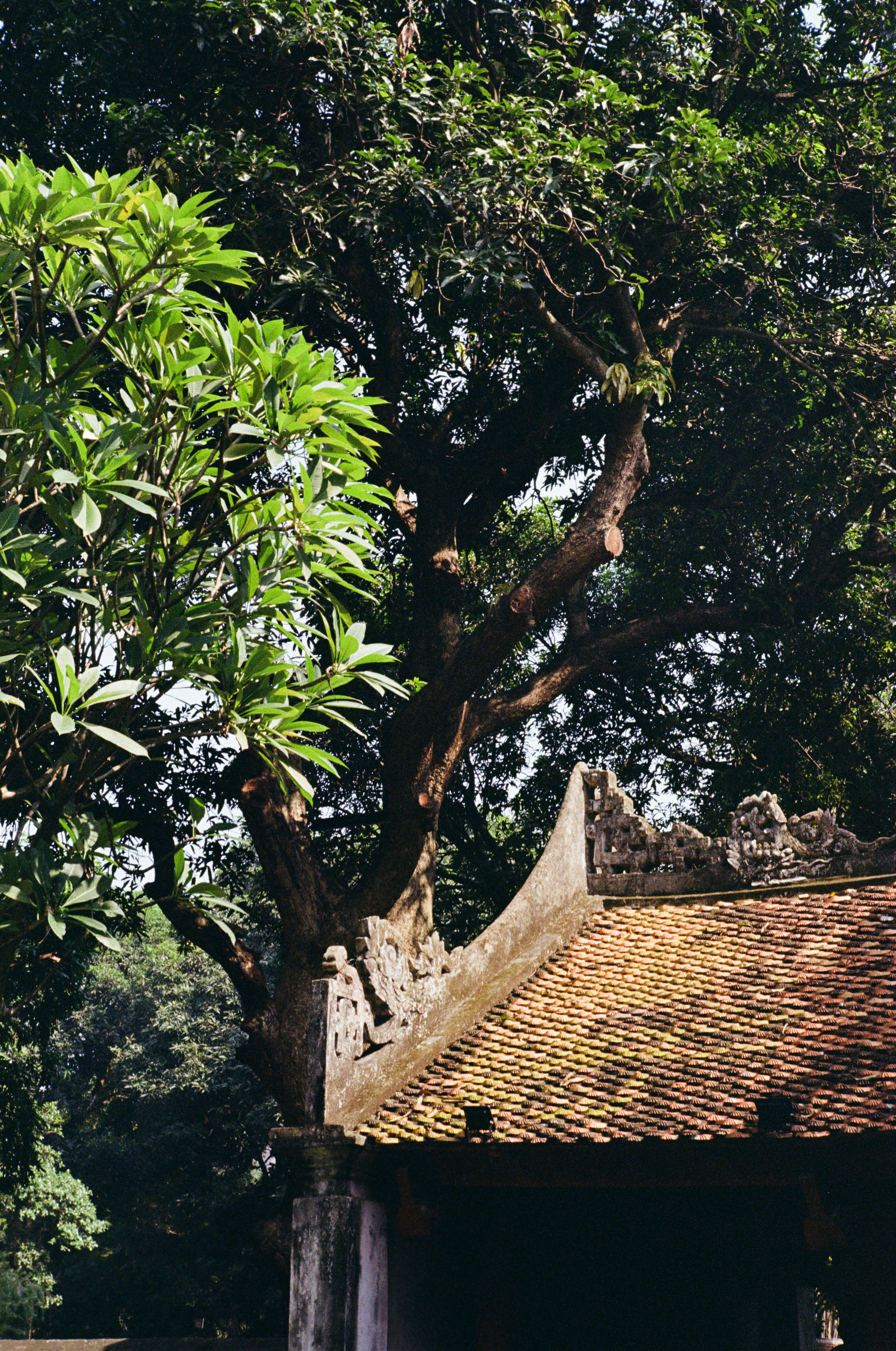 Photo by donguyenkhanhs