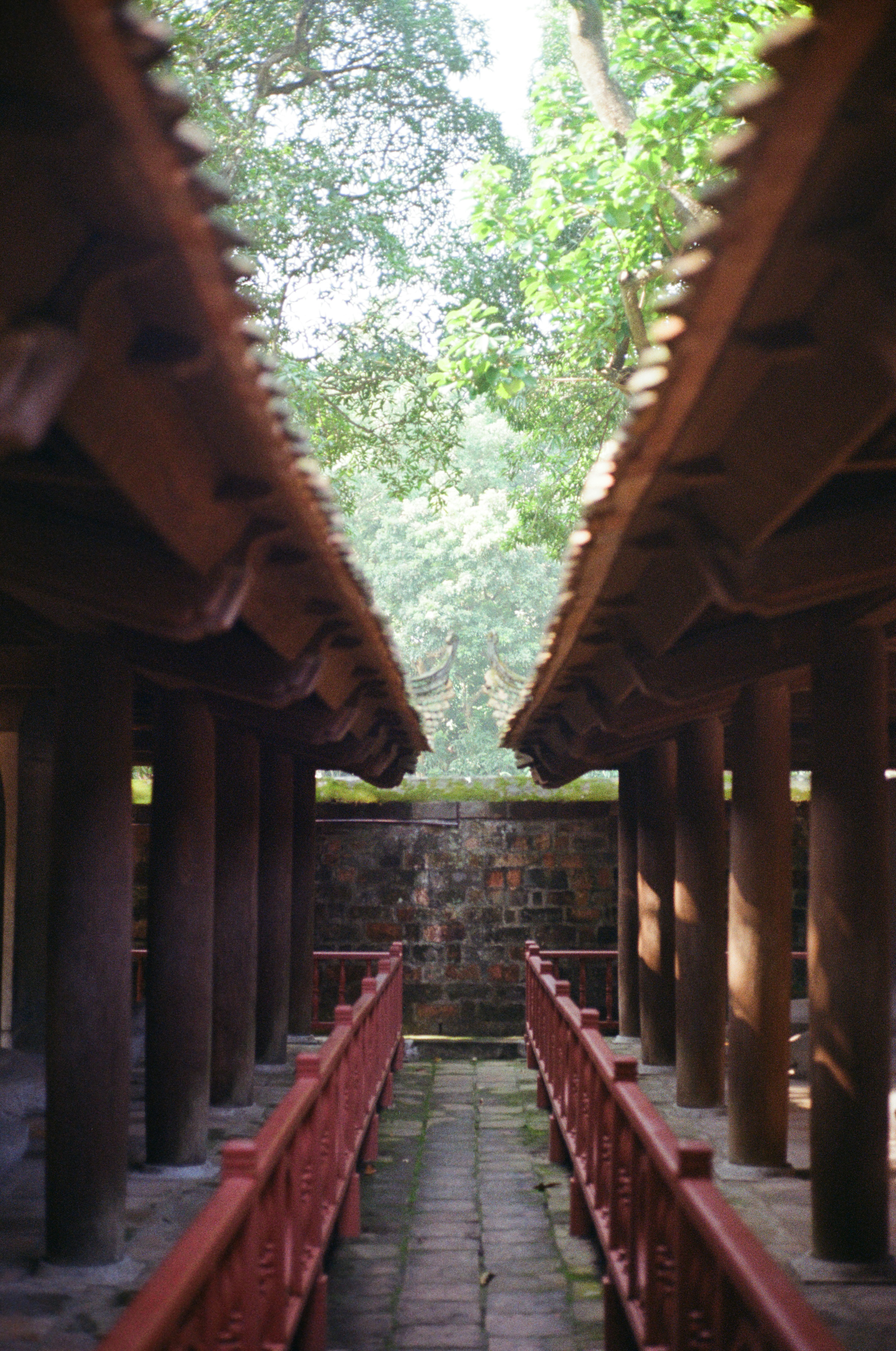 Photo by donguyenkhanhs