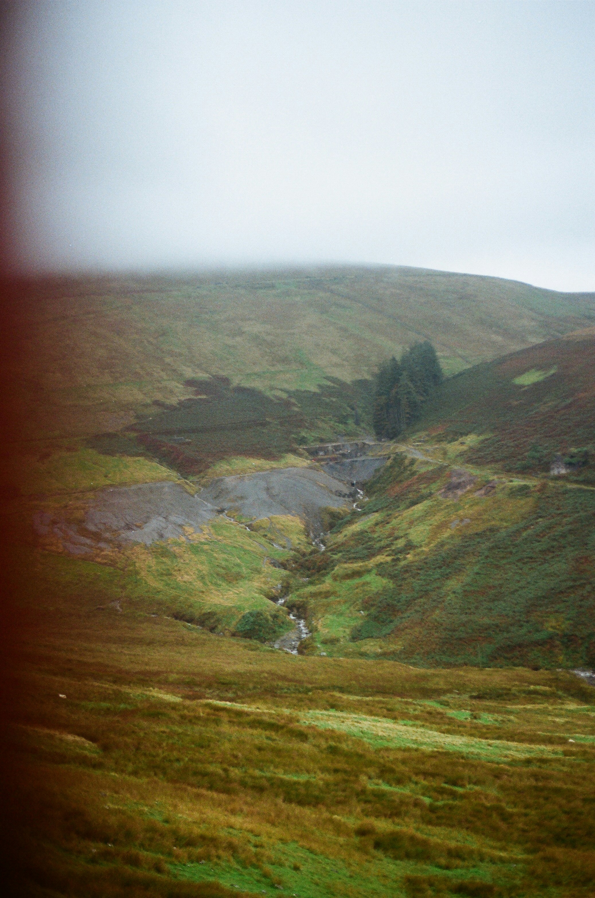 Photo by tanyabarrow