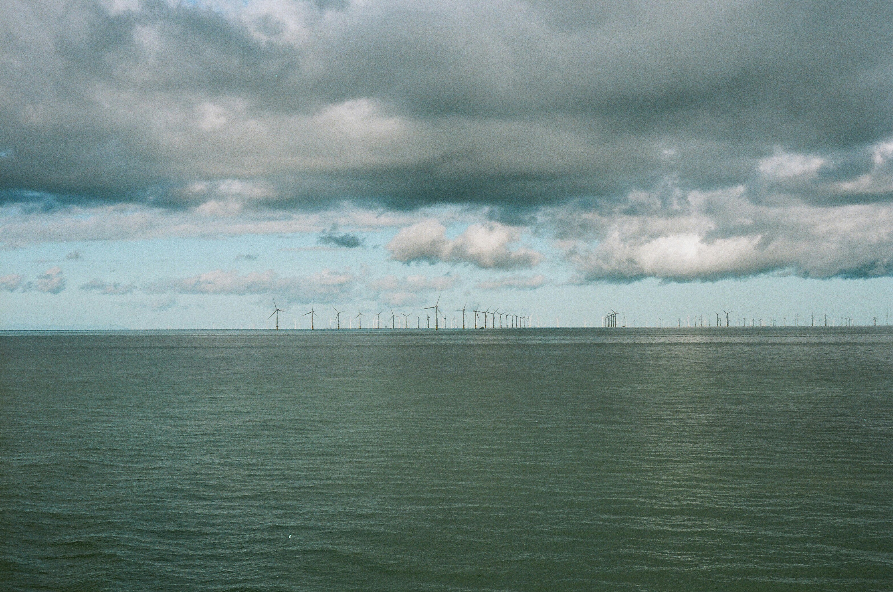 Photo by tanyabarrow