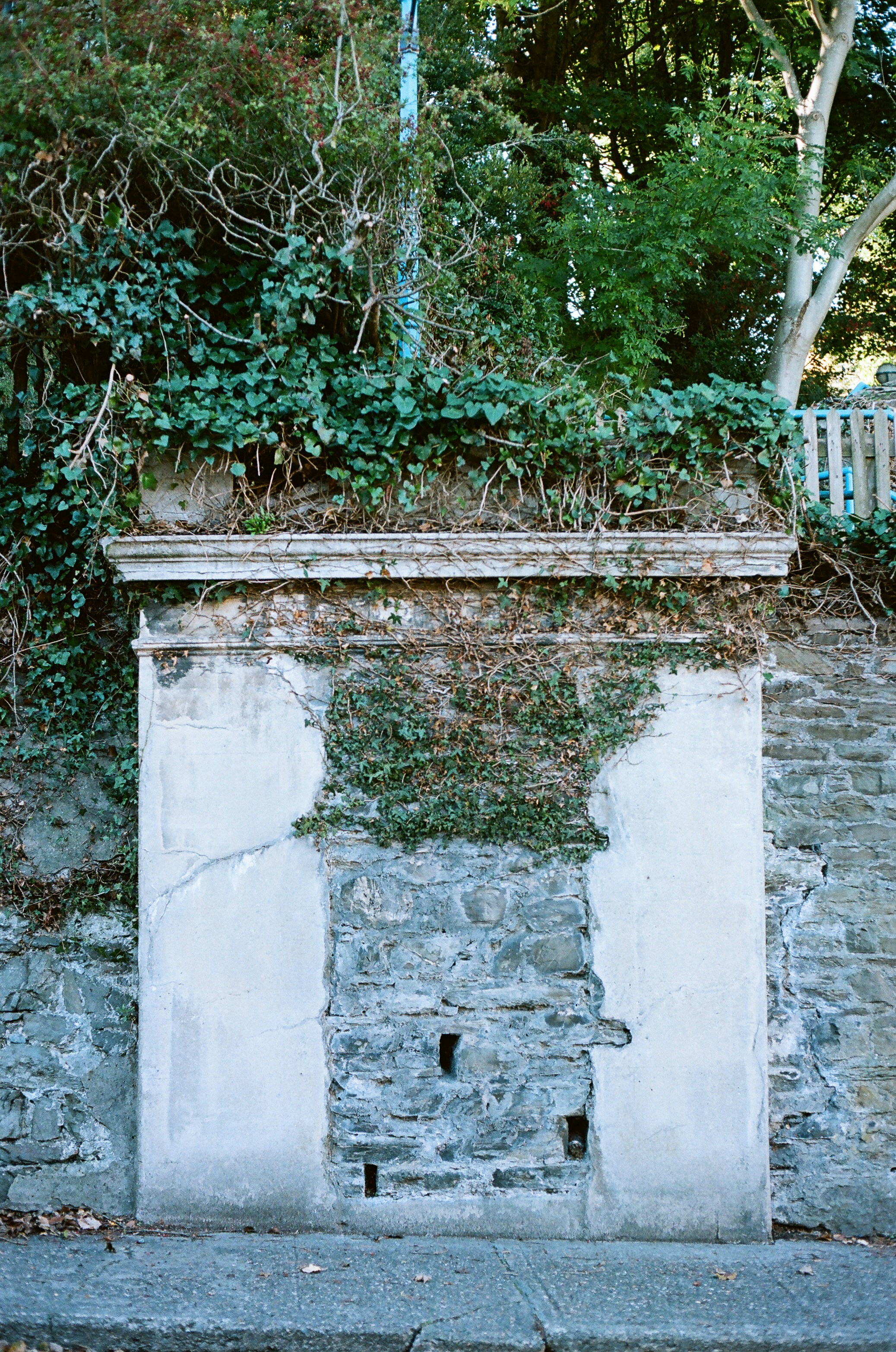 Photo by tanyabarrow