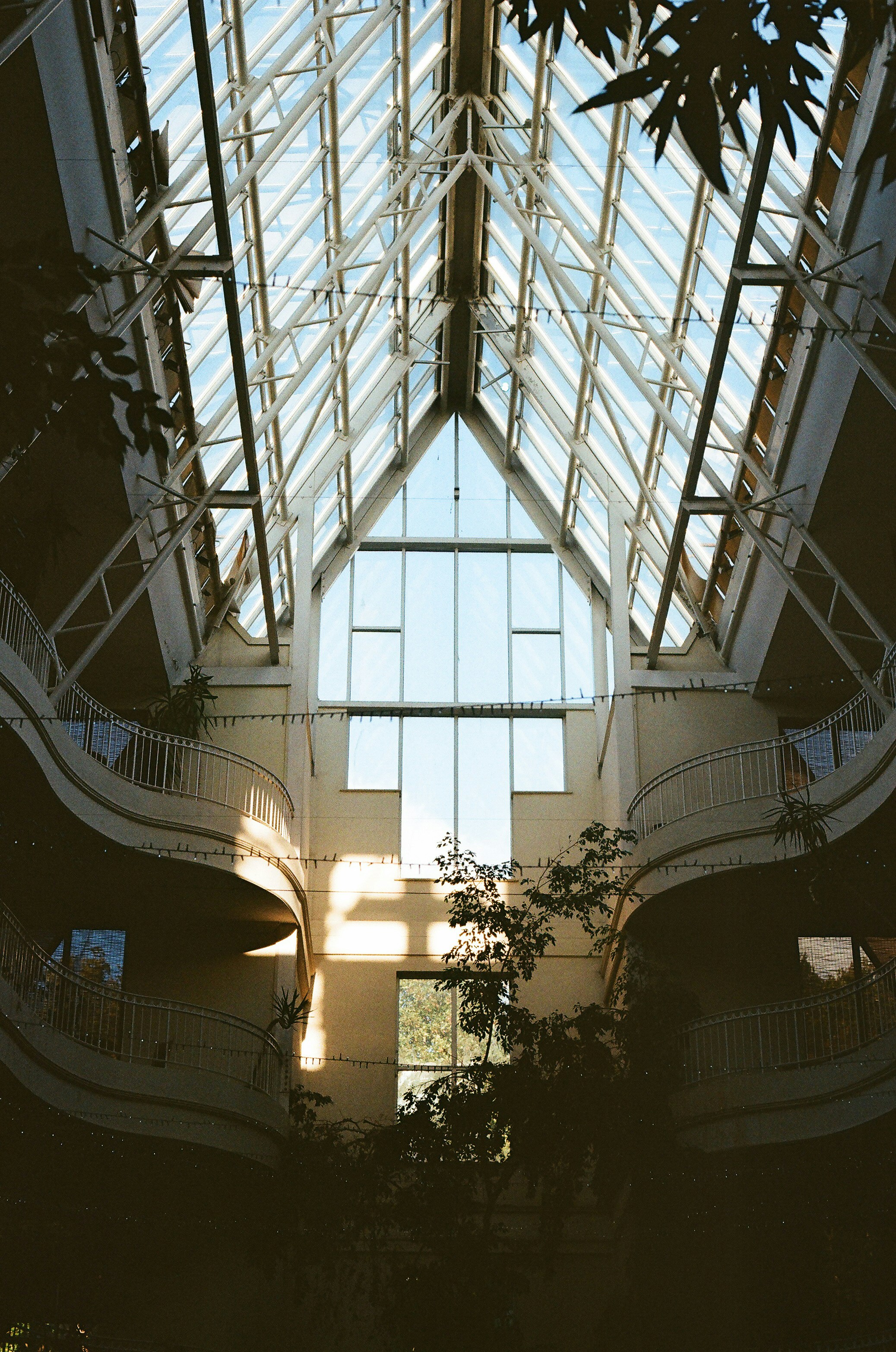 Photo by tanyabarrow