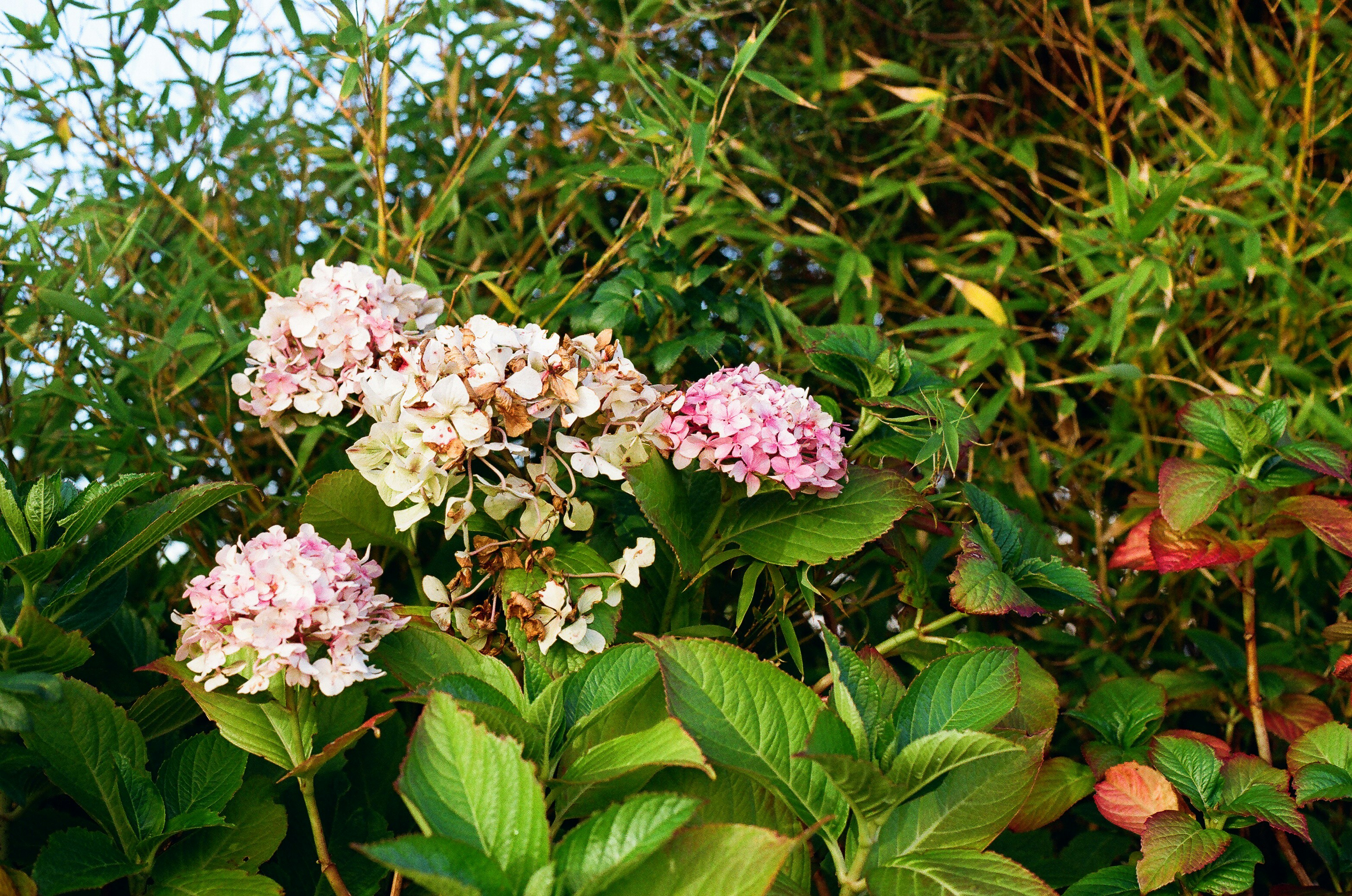 Photo by tanyabarrow