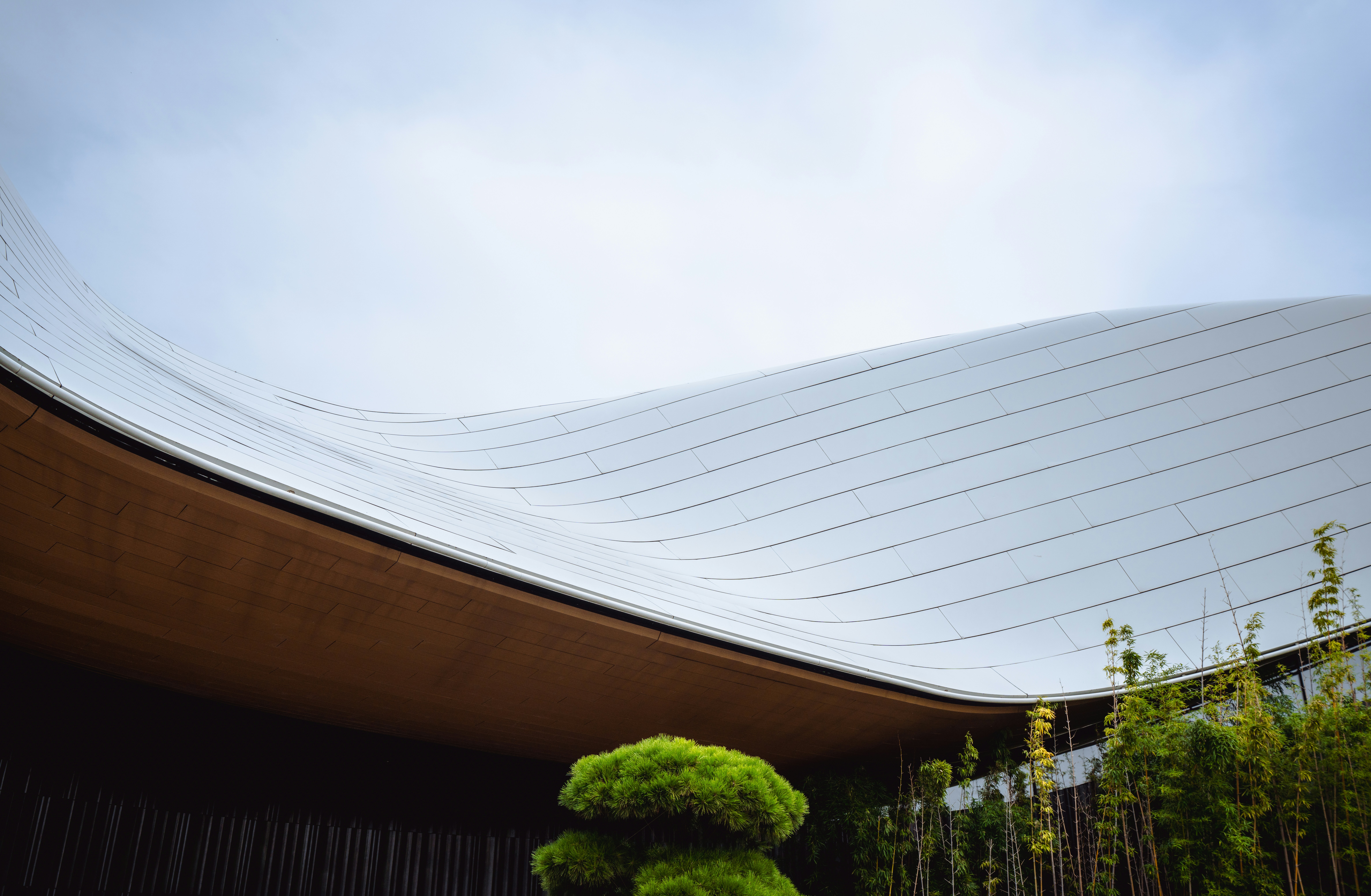 Modern building with curved white roof and greenery