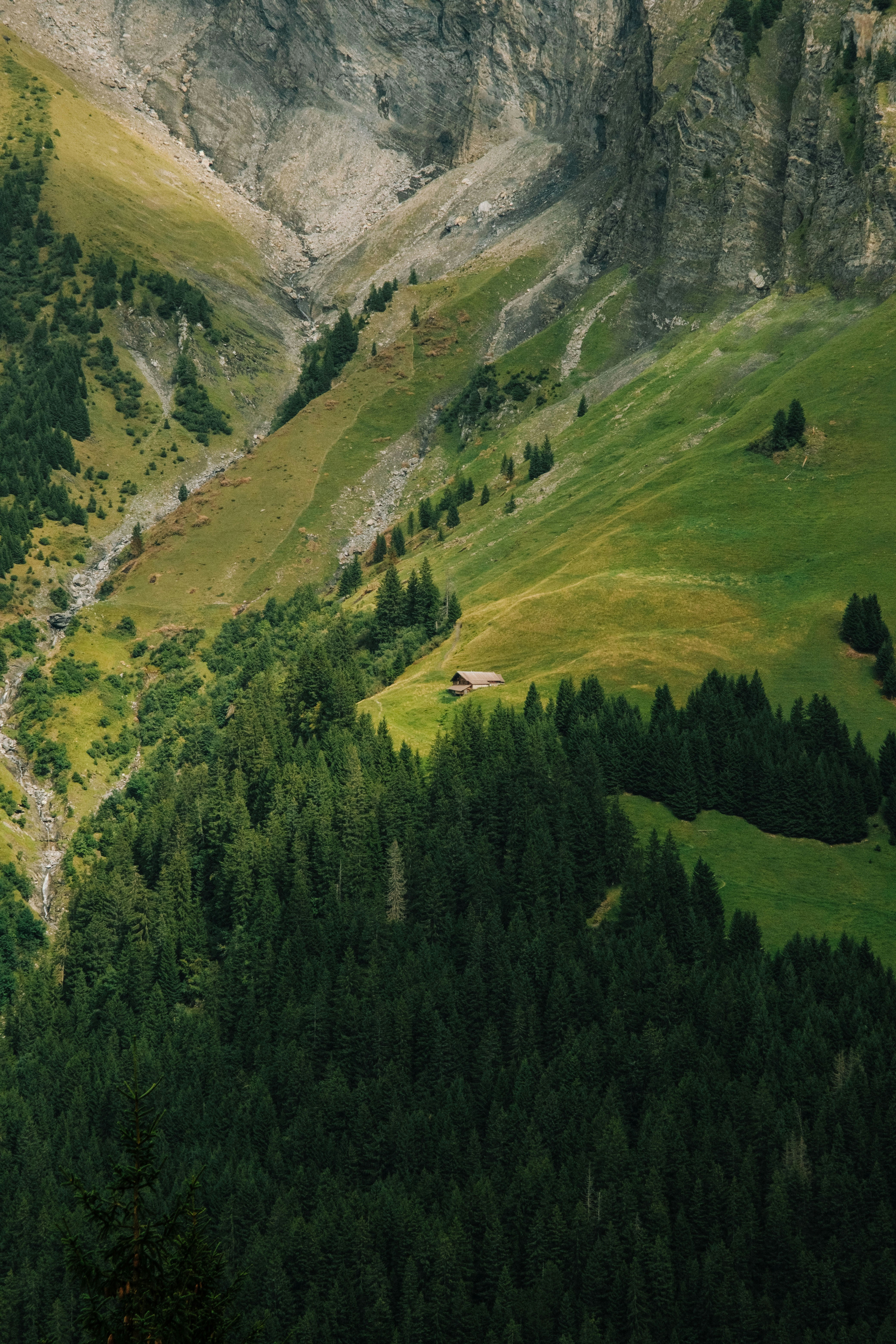 Photo by ivosouzamartins