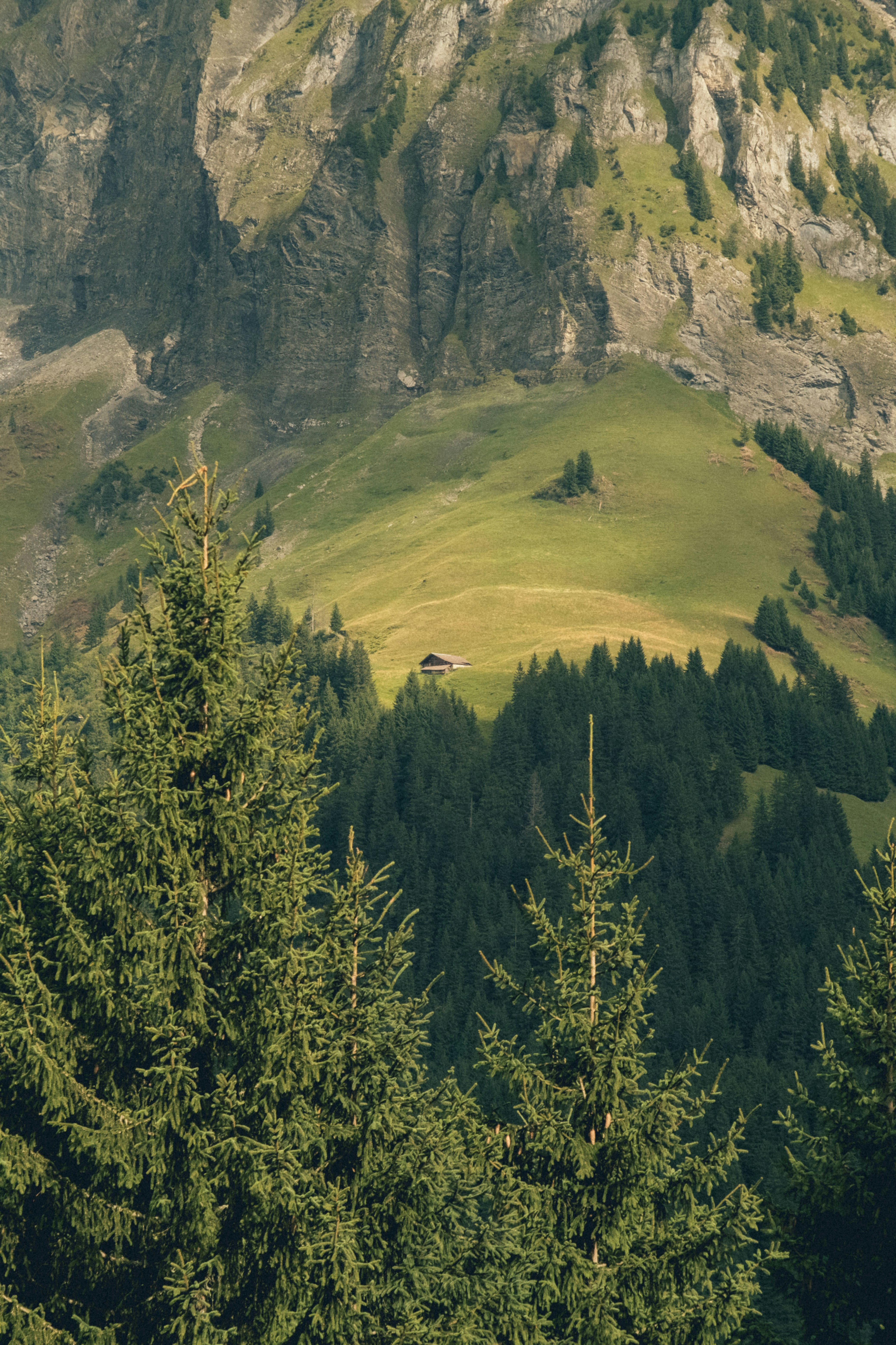 Photo by ivosouzamartins