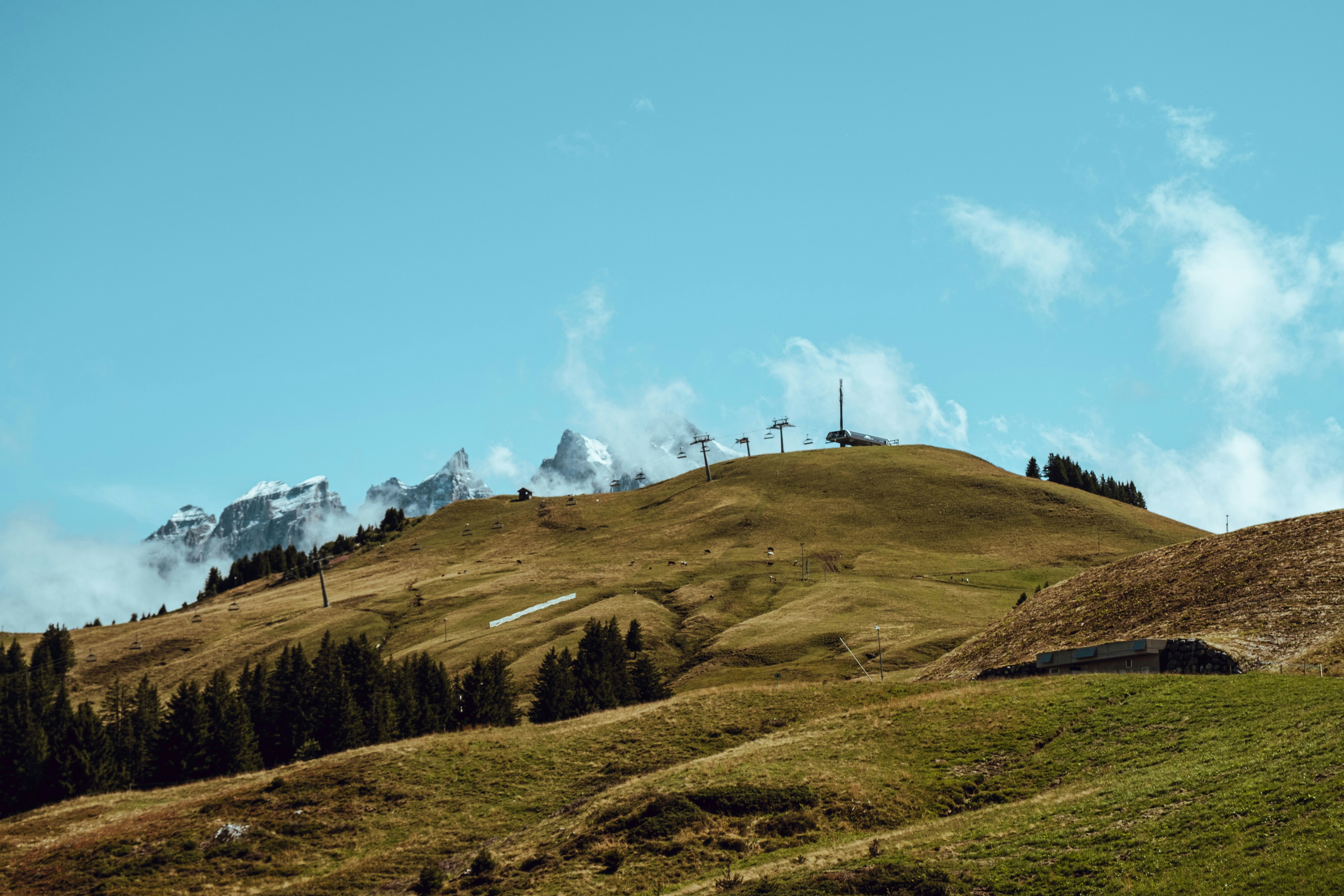 Photo by ivosouzamartins