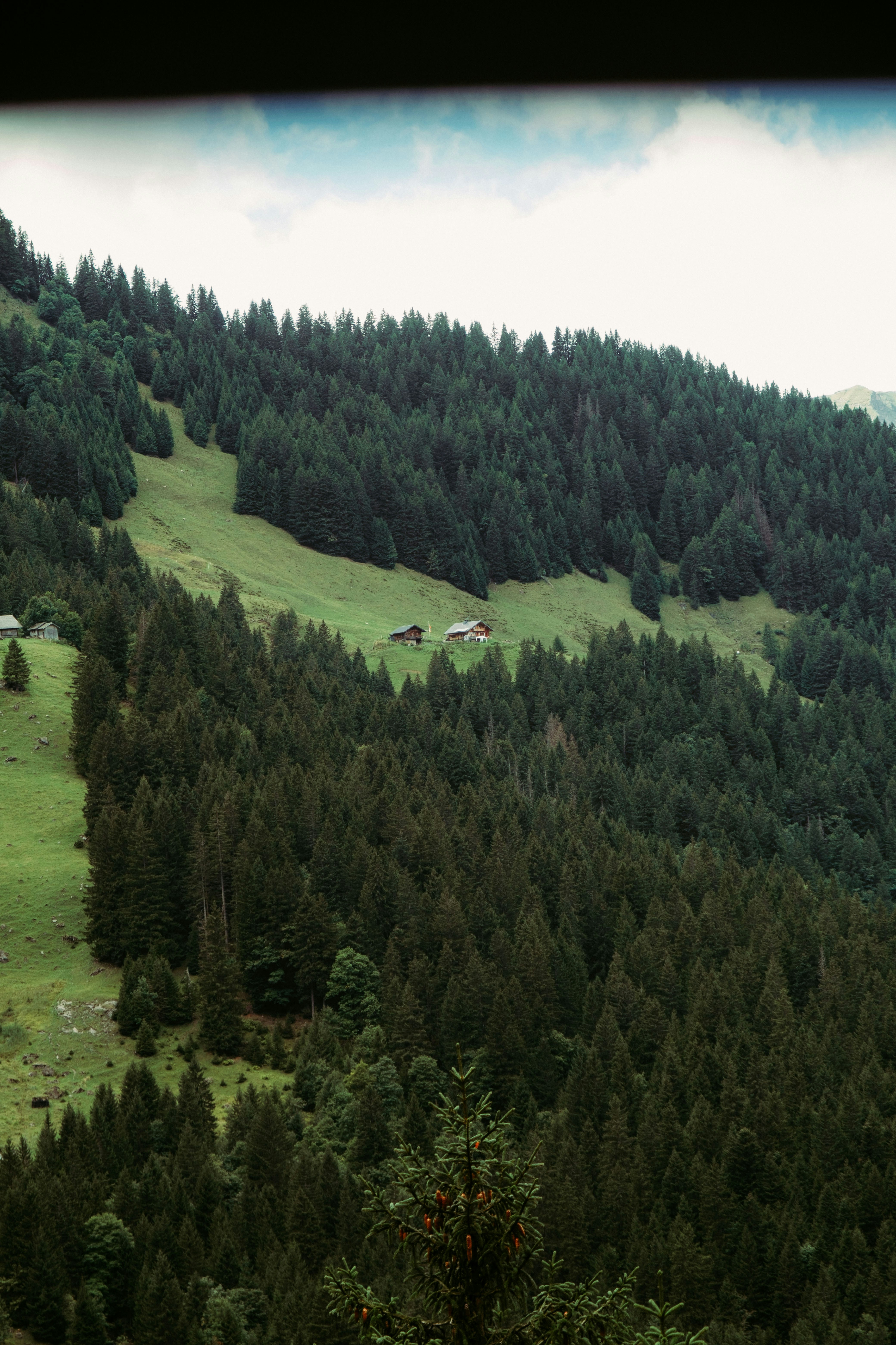 Photo by ivosouzamartins