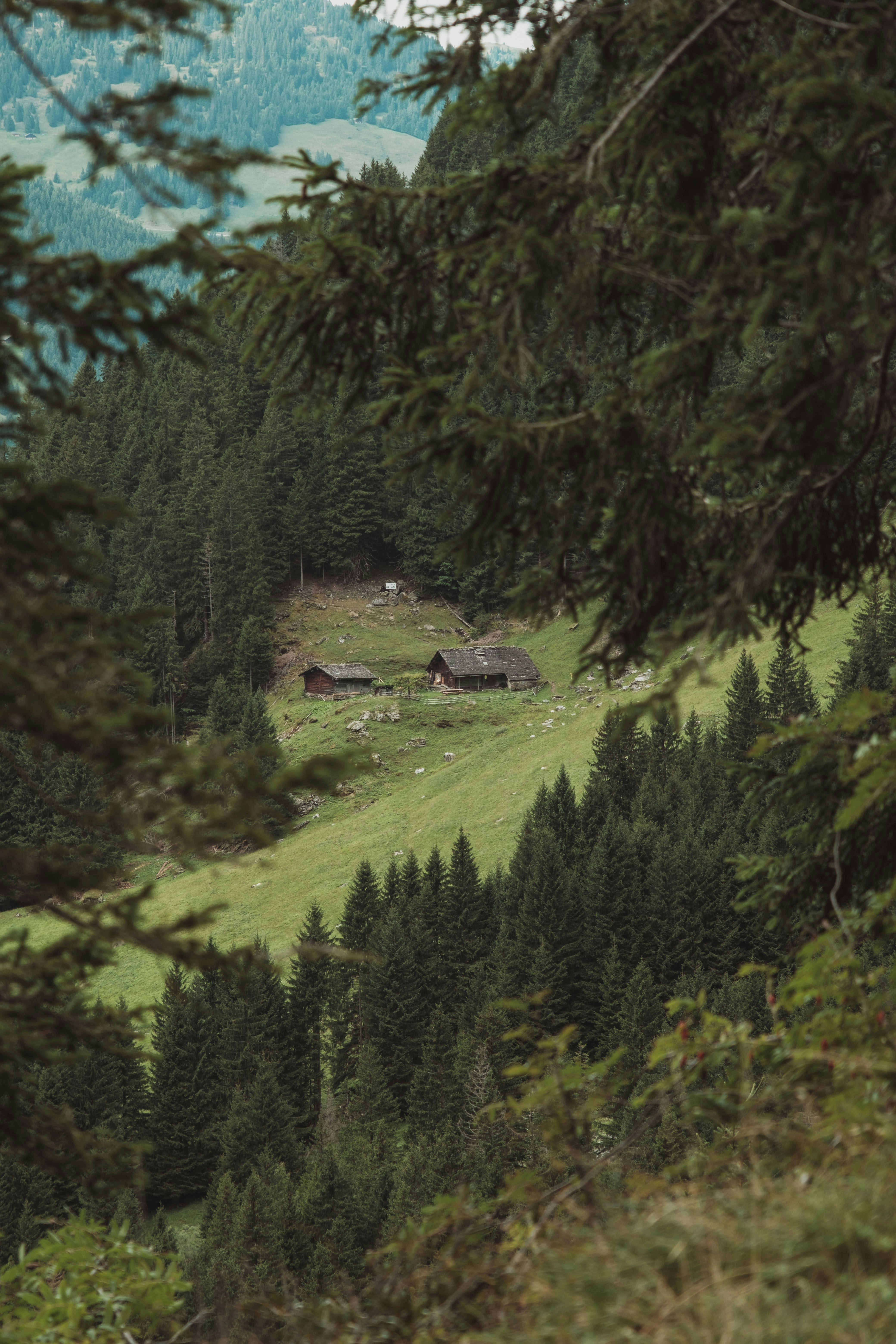 Photo by ivosouzamartins