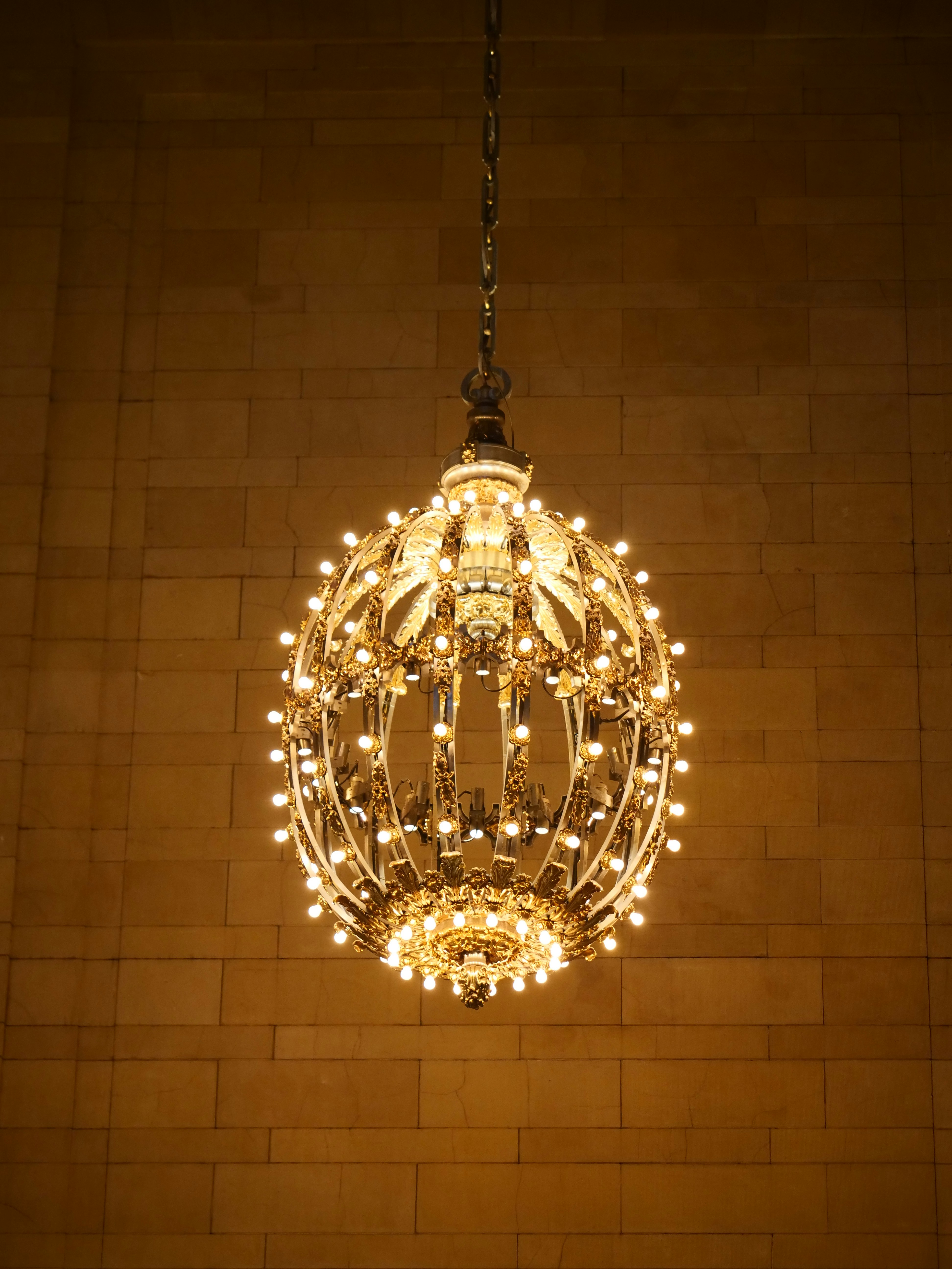 Photo by nimbus_vulpis