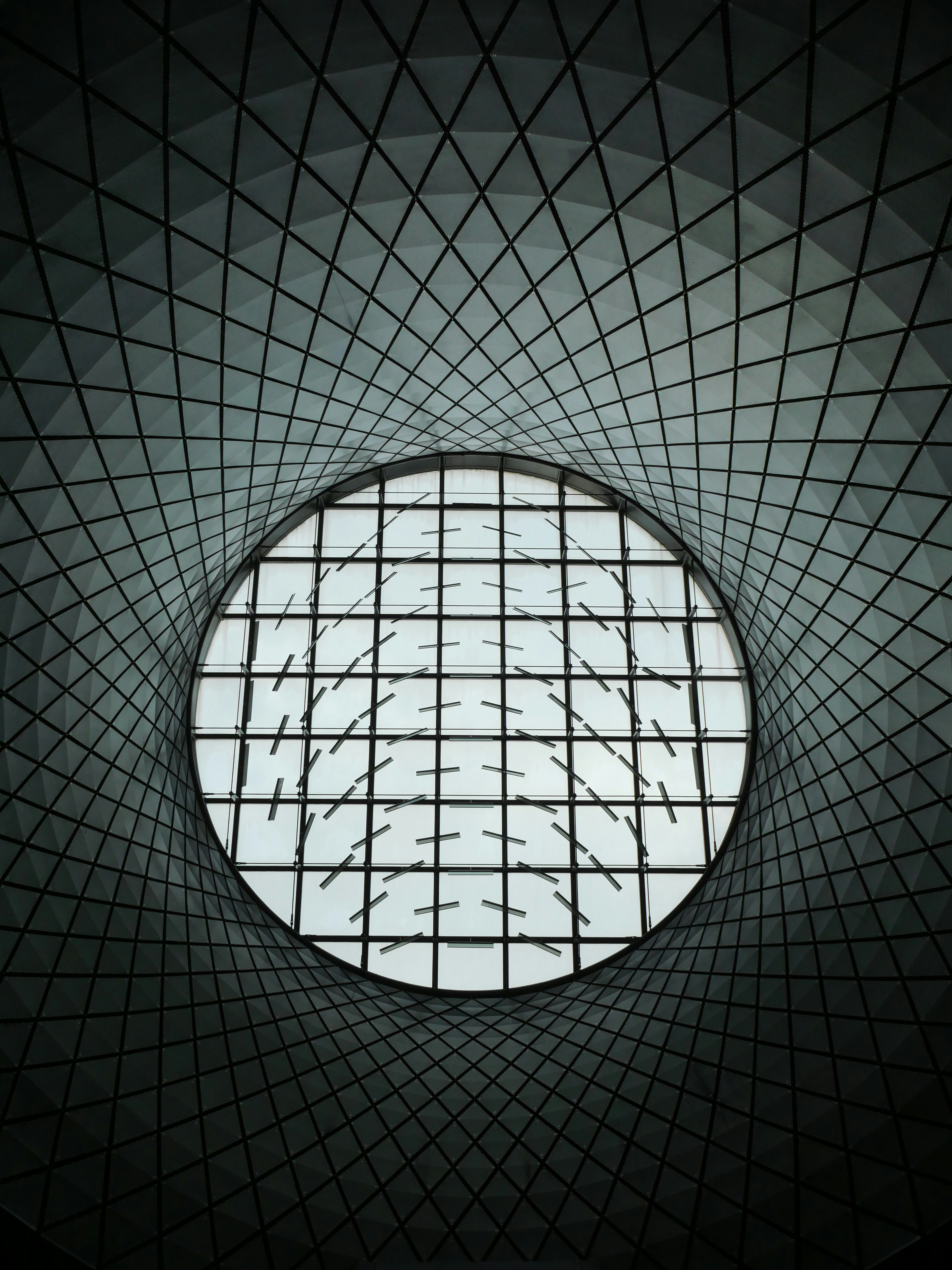 Photo by nimbus_vulpis