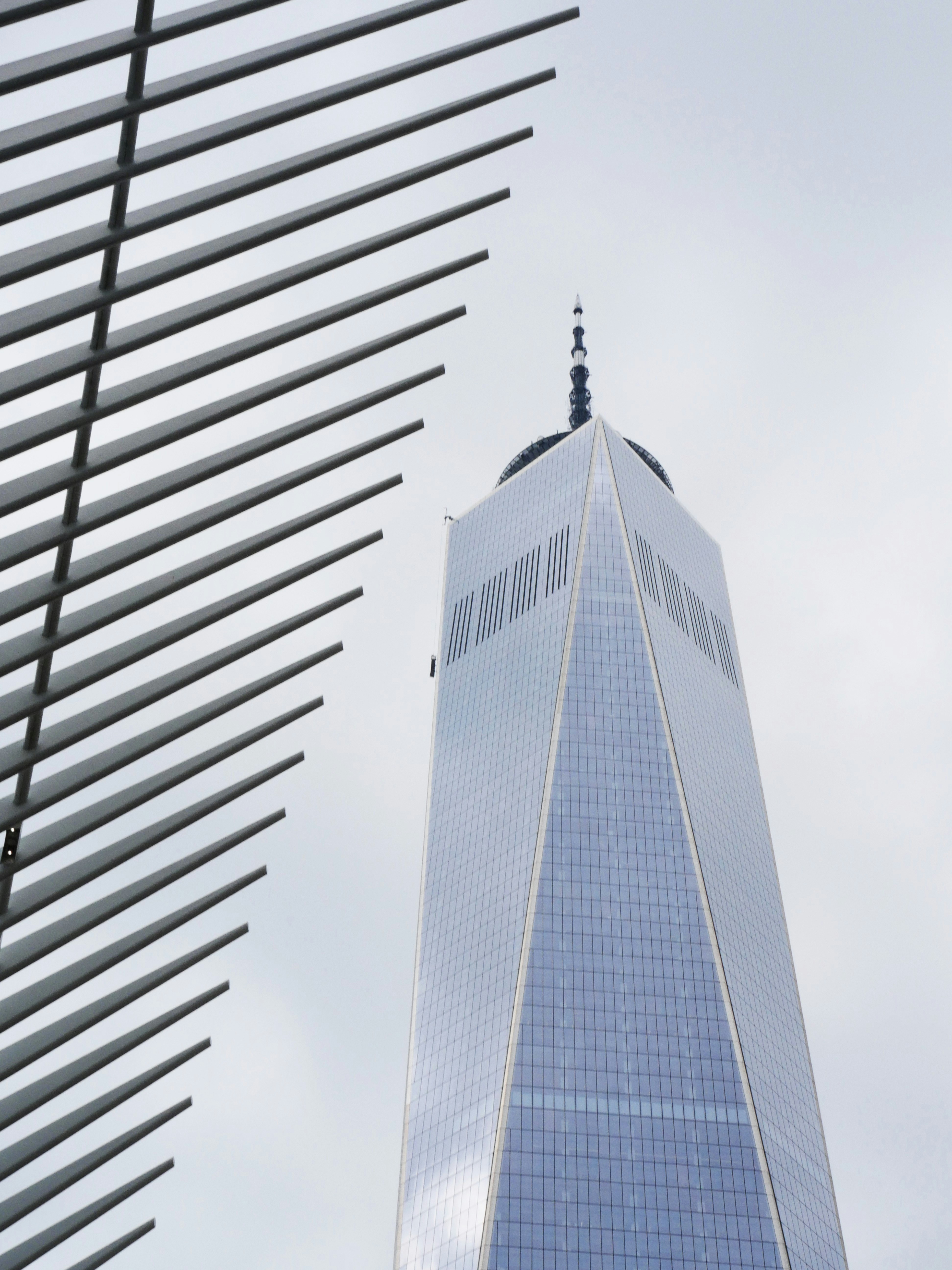 Photo by nimbus_vulpis