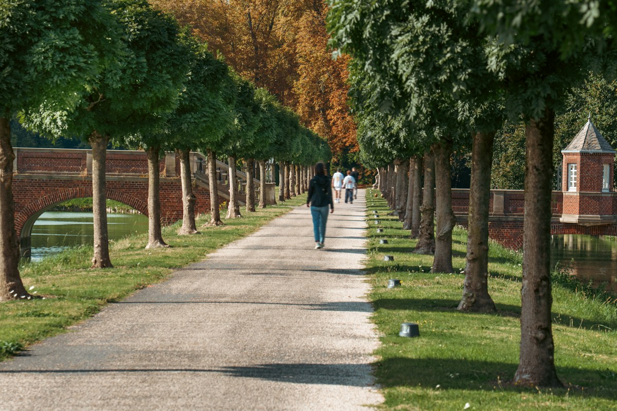 Students walking on a tree-lined path beside a river, ideal for educational field trips across grade levels.