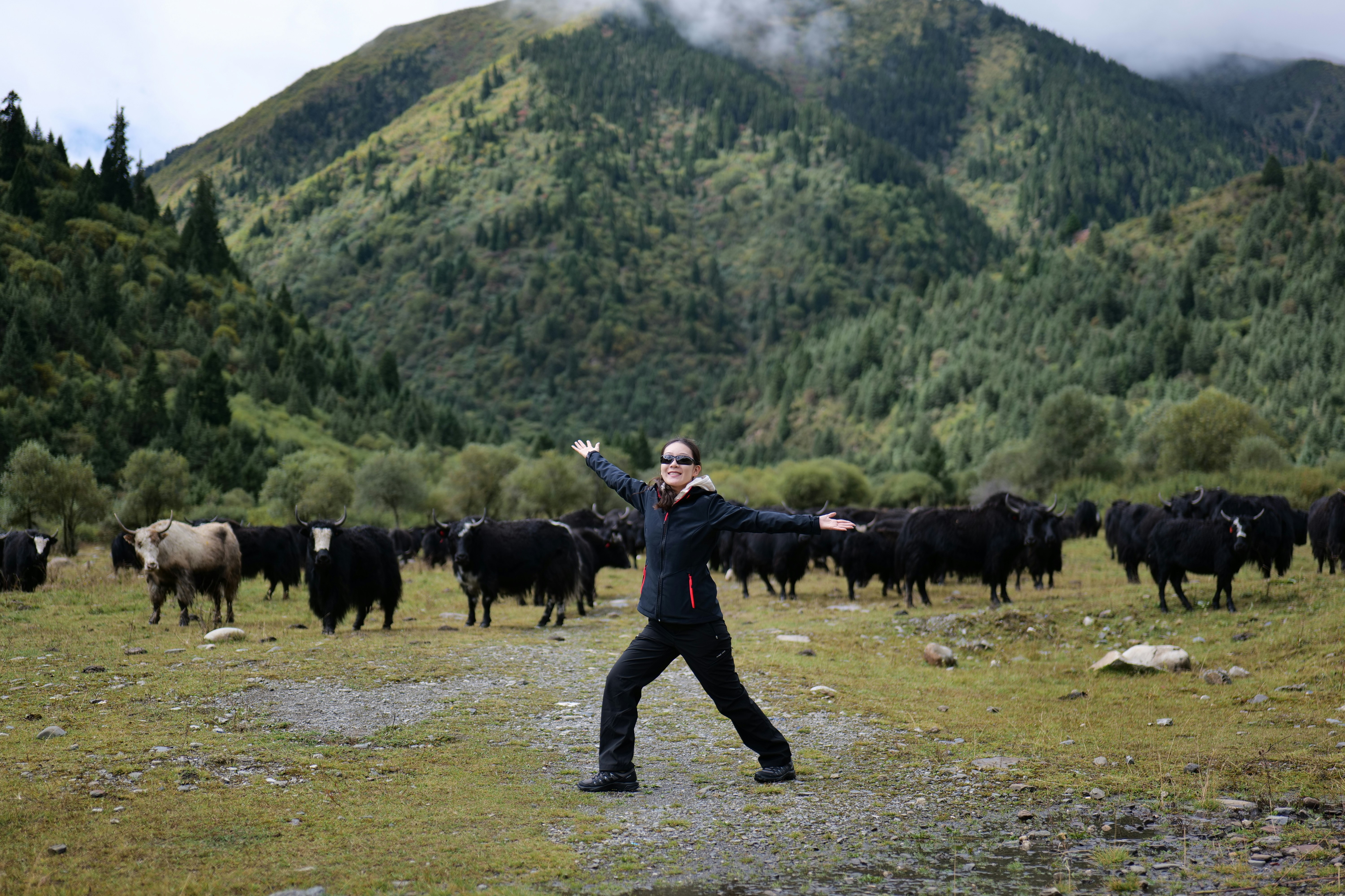 Woman with yaks in a mountainous landscape