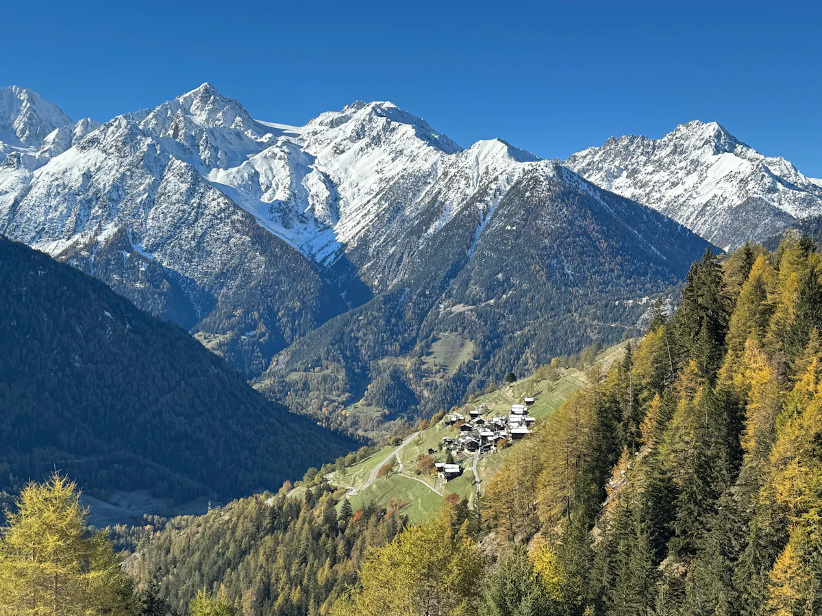 The hamlet of Commeire above Orsières among autumn larches, with snowy peaks behind
